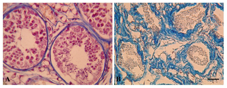 Animals 13 00079 g003 Animals 13 00079 g003