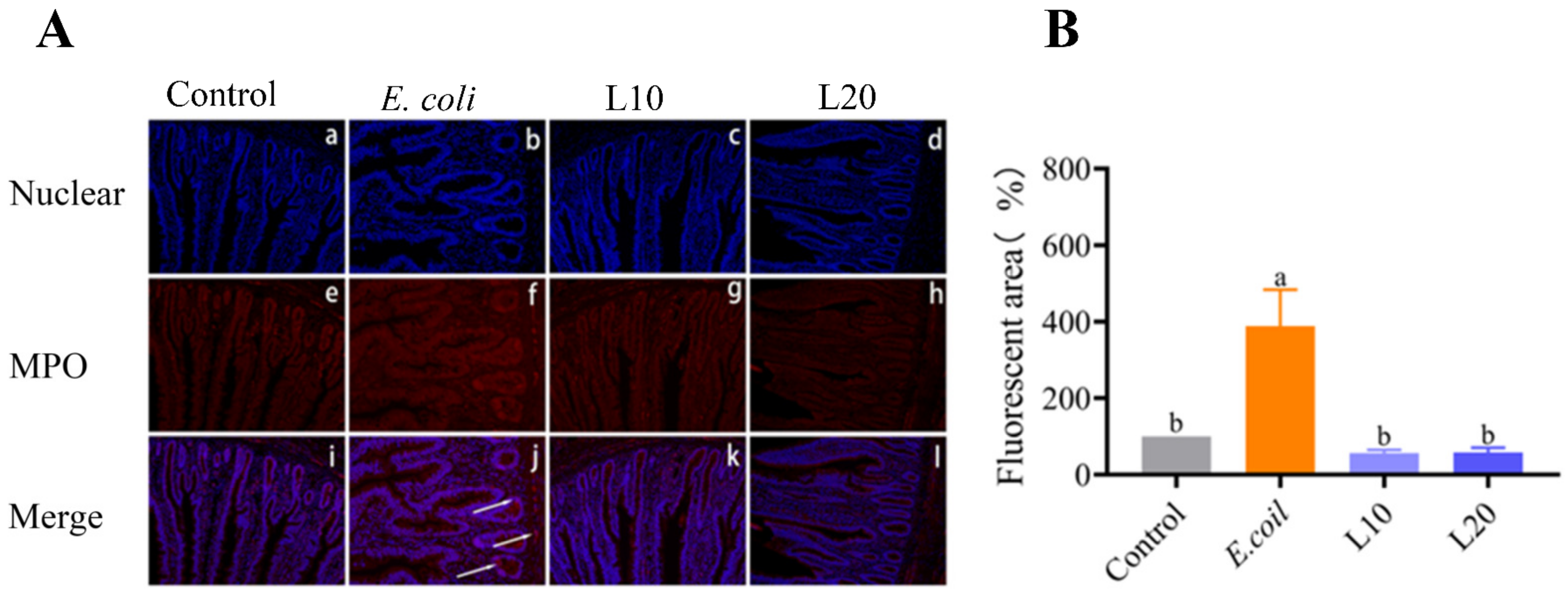 Animals 13 00083 g003