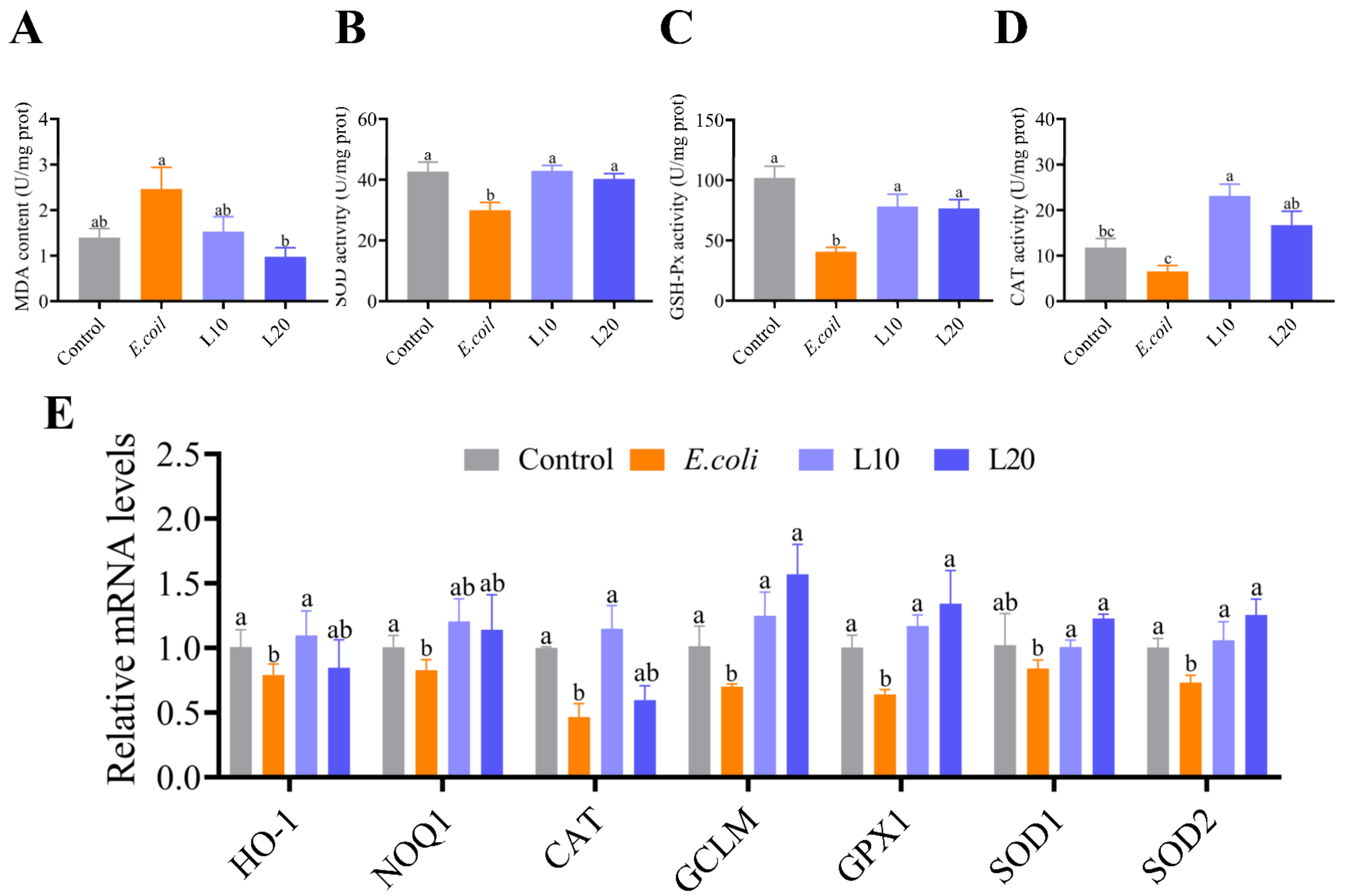 Animals 13 00083 g004