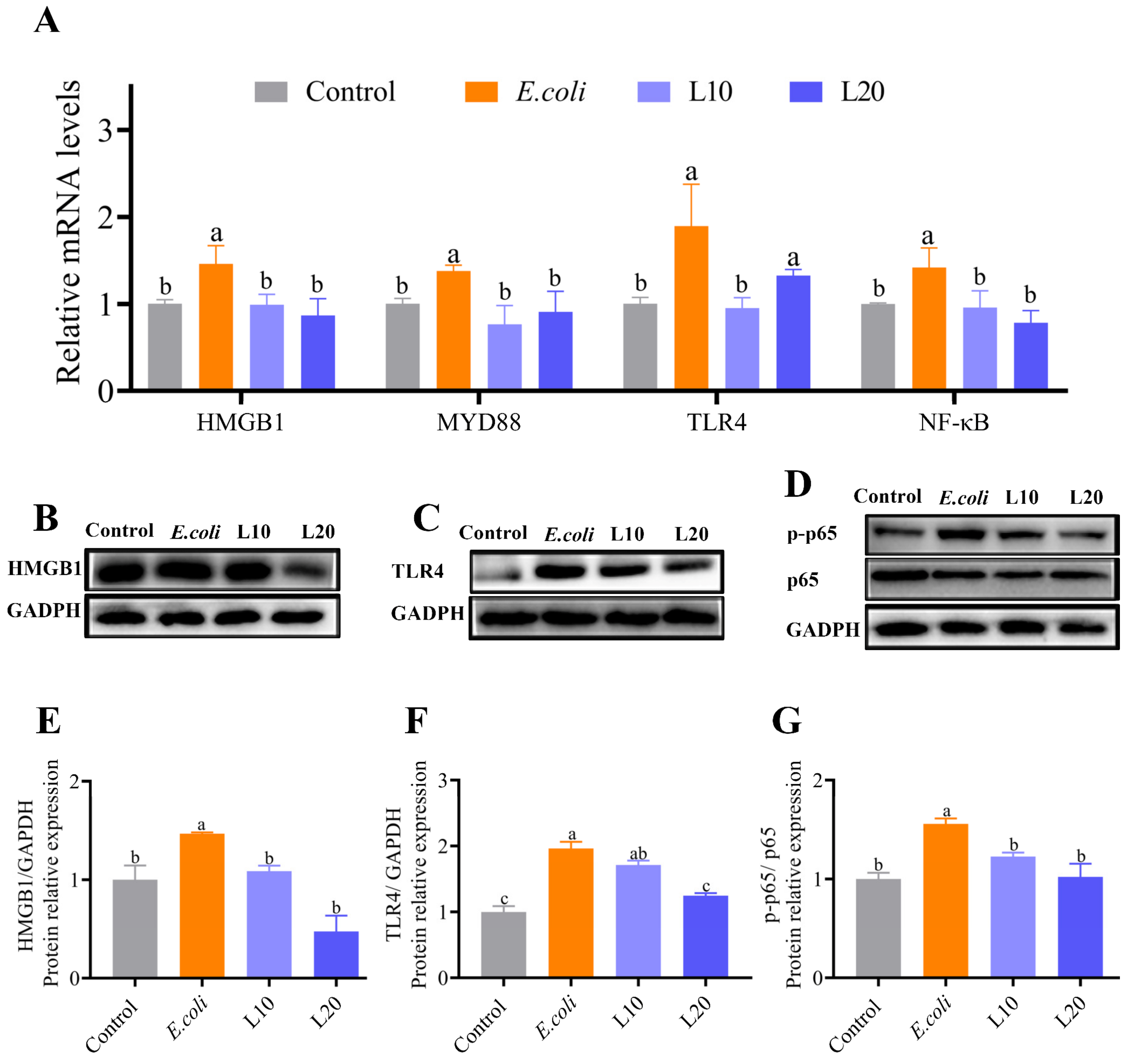 Animals 13 00083 g006