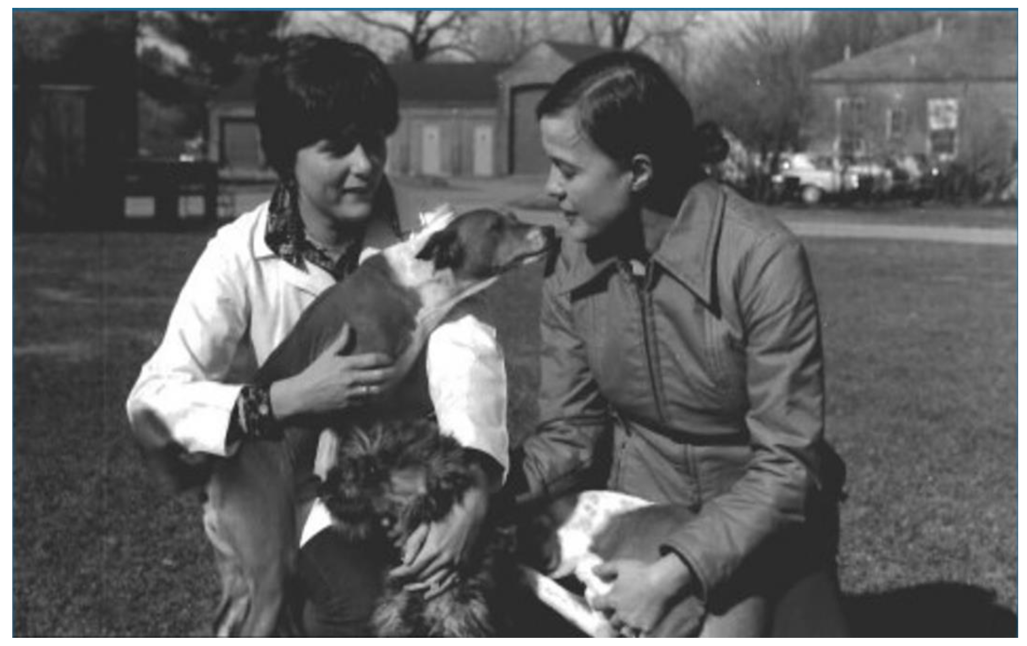 Animals 13 00087 g001