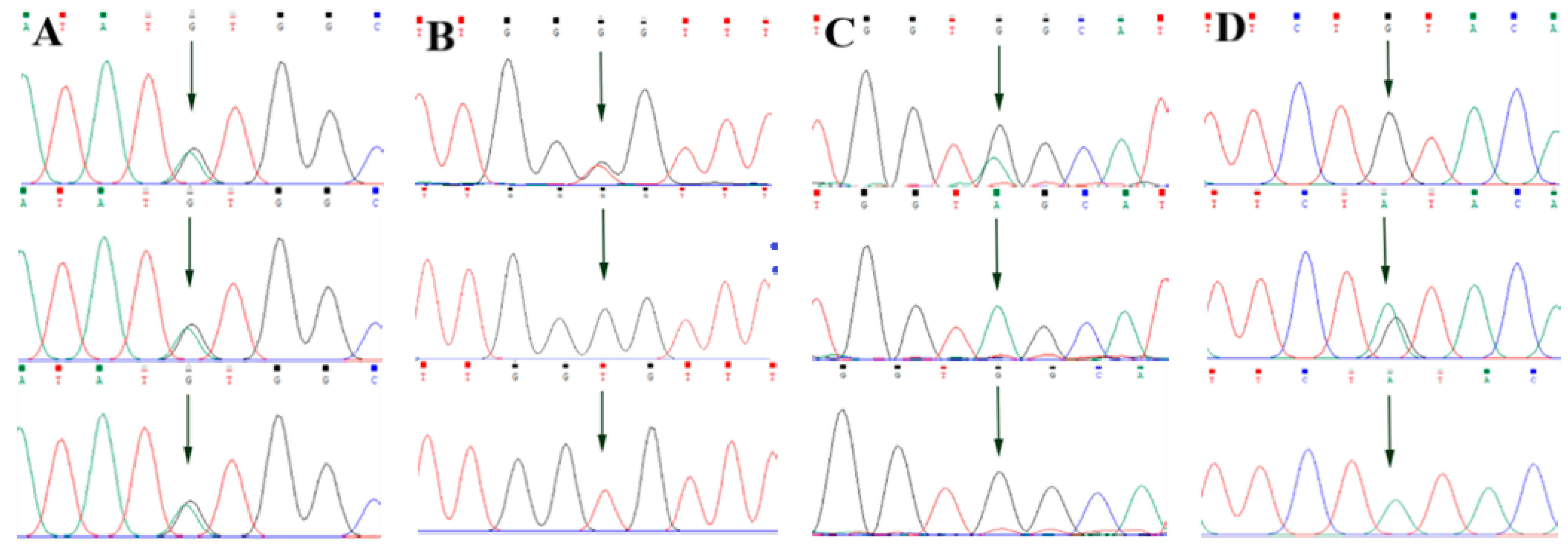 Animals 13 00089 g002