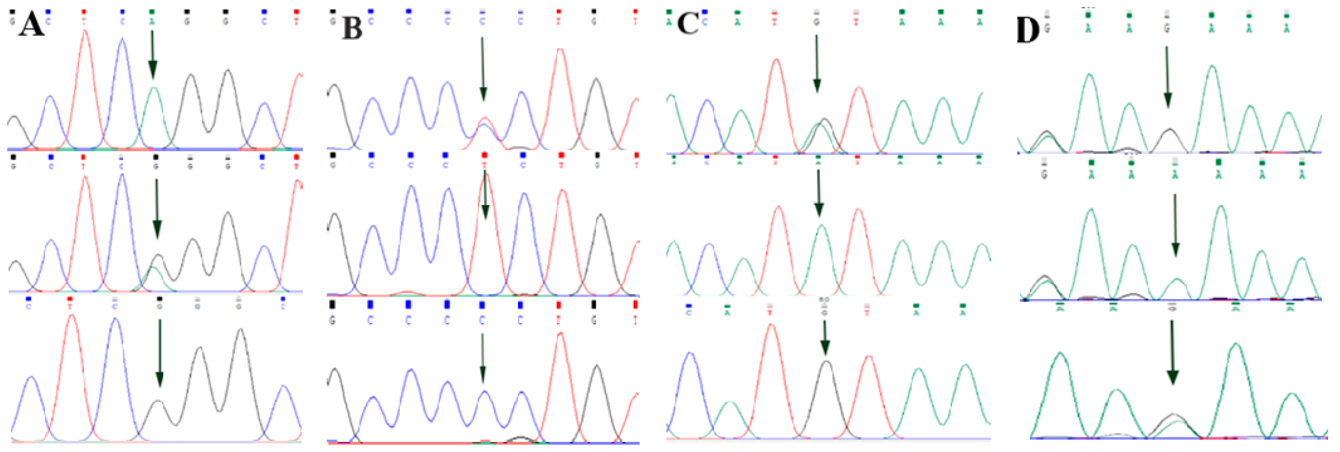 Animals 13 00089 g003