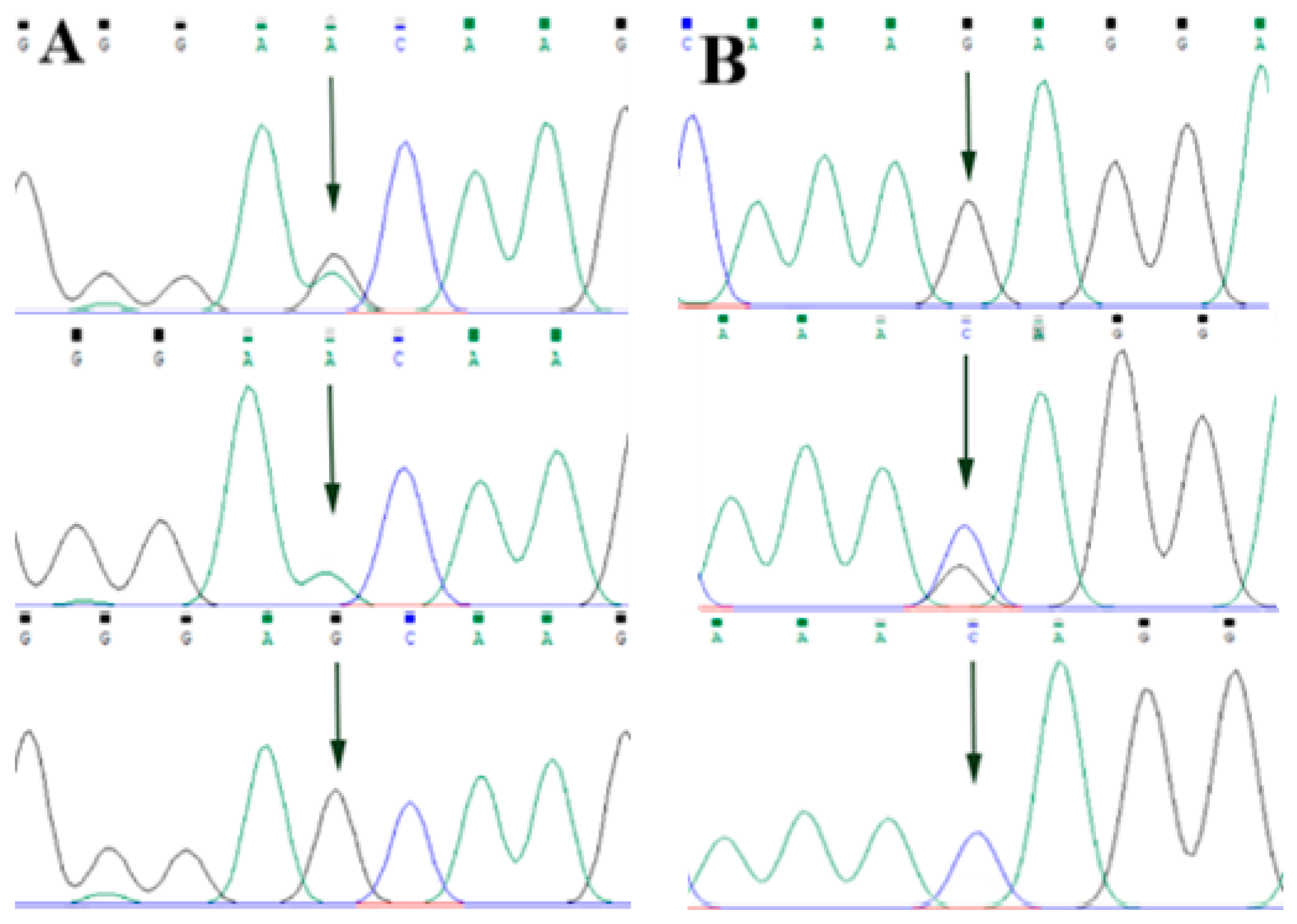 Animals 13 00089 g004