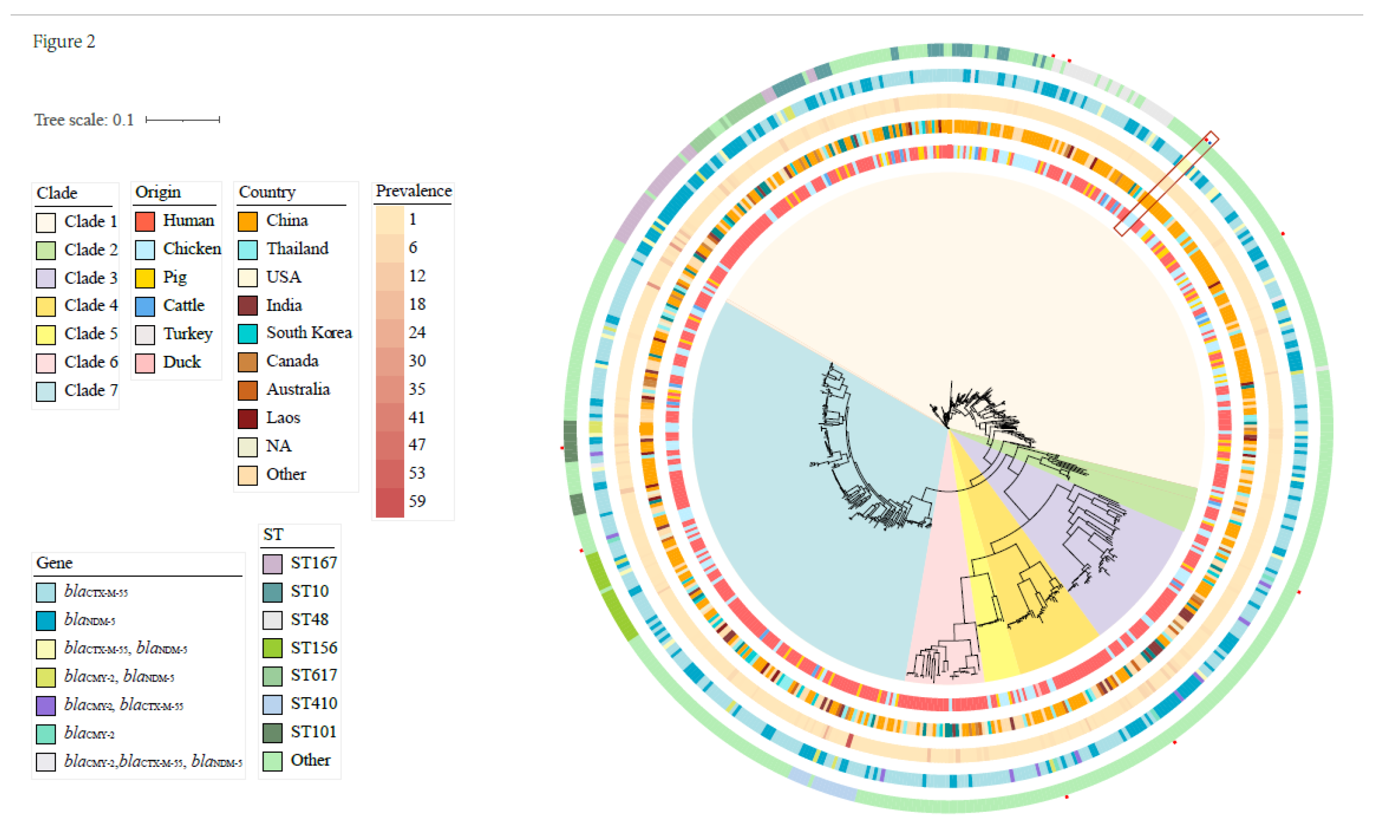 Animals 13 00090 g002