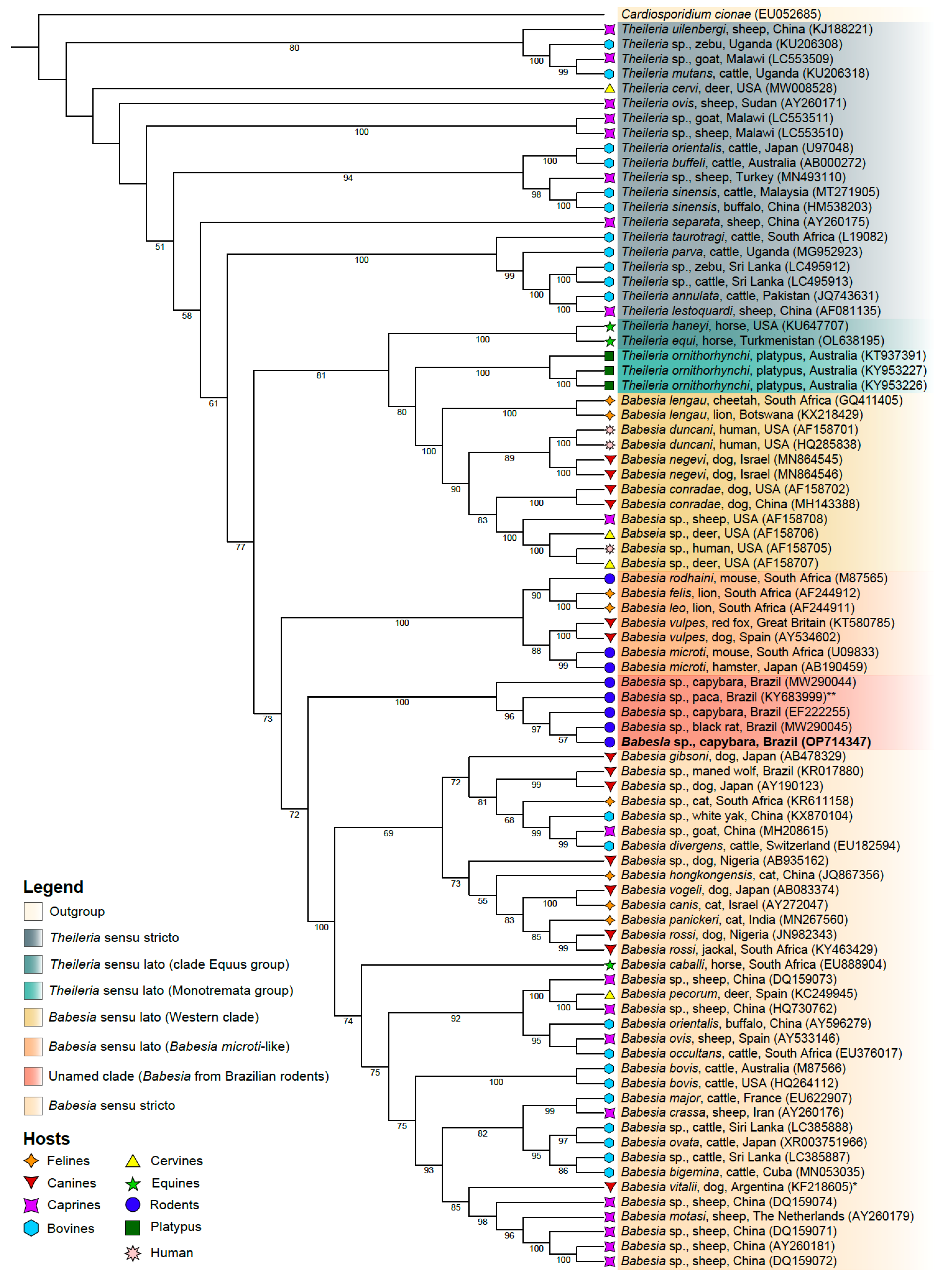 Animals 13 00094 g002