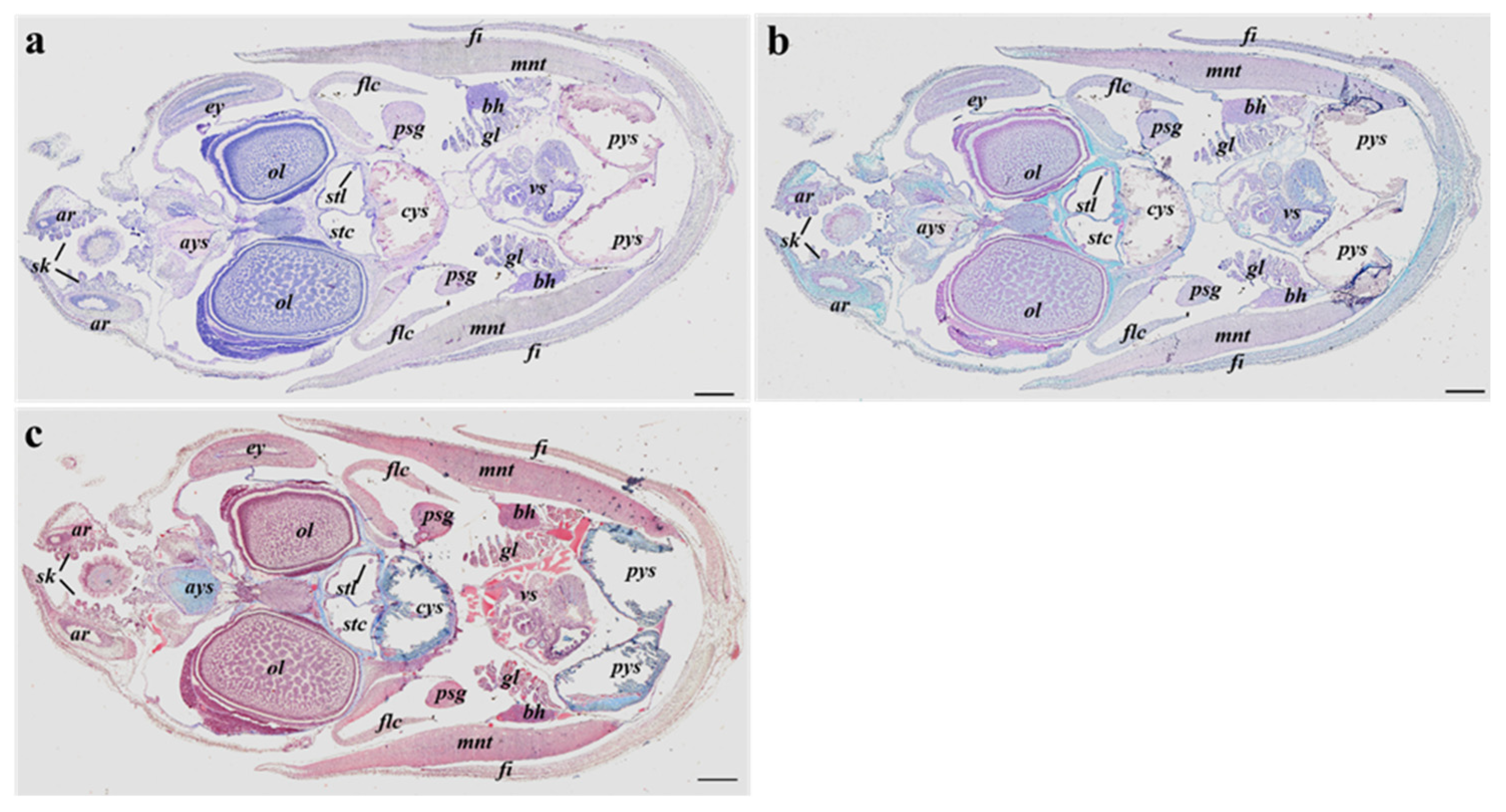 Animals 13 00095 g002