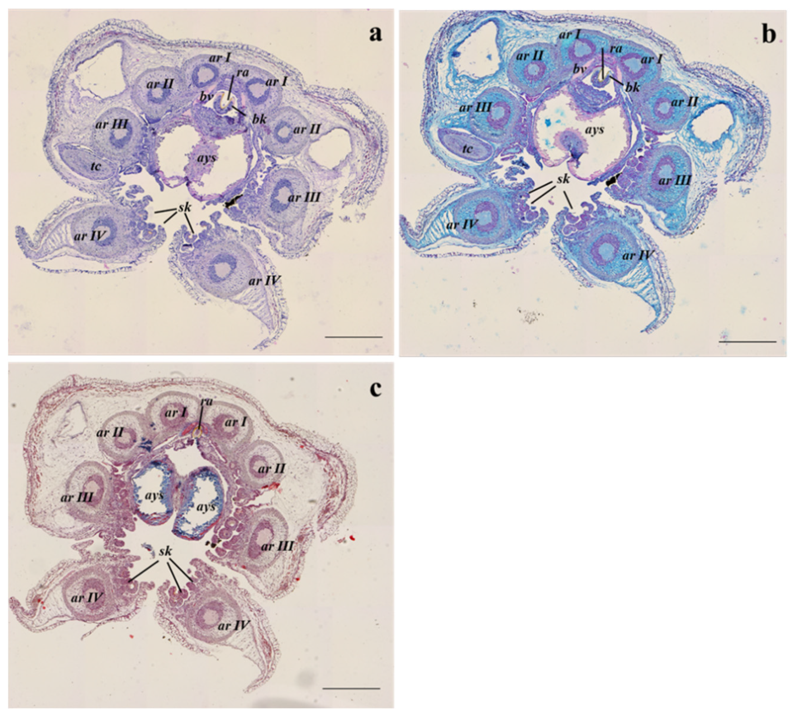 Animals 13 00095 g003