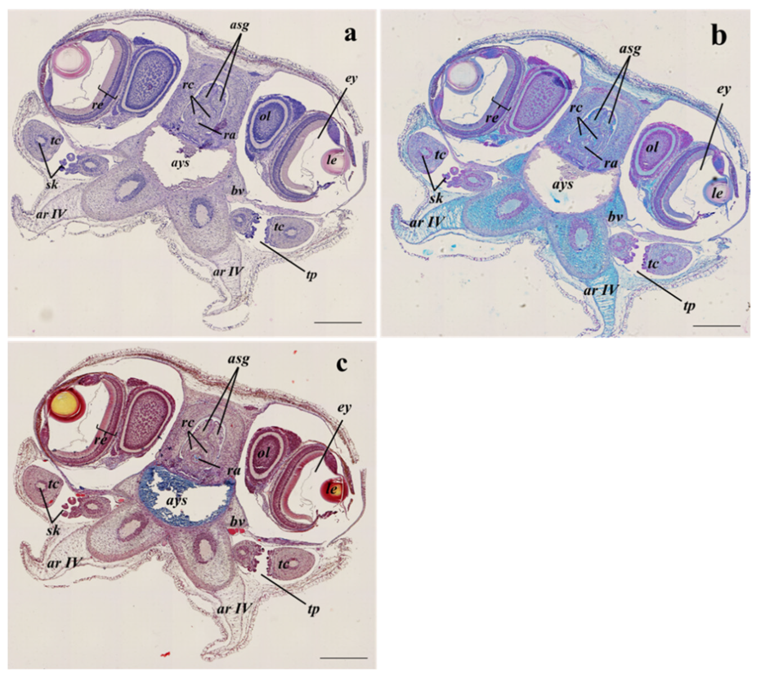 Animals 13 00095 g004
