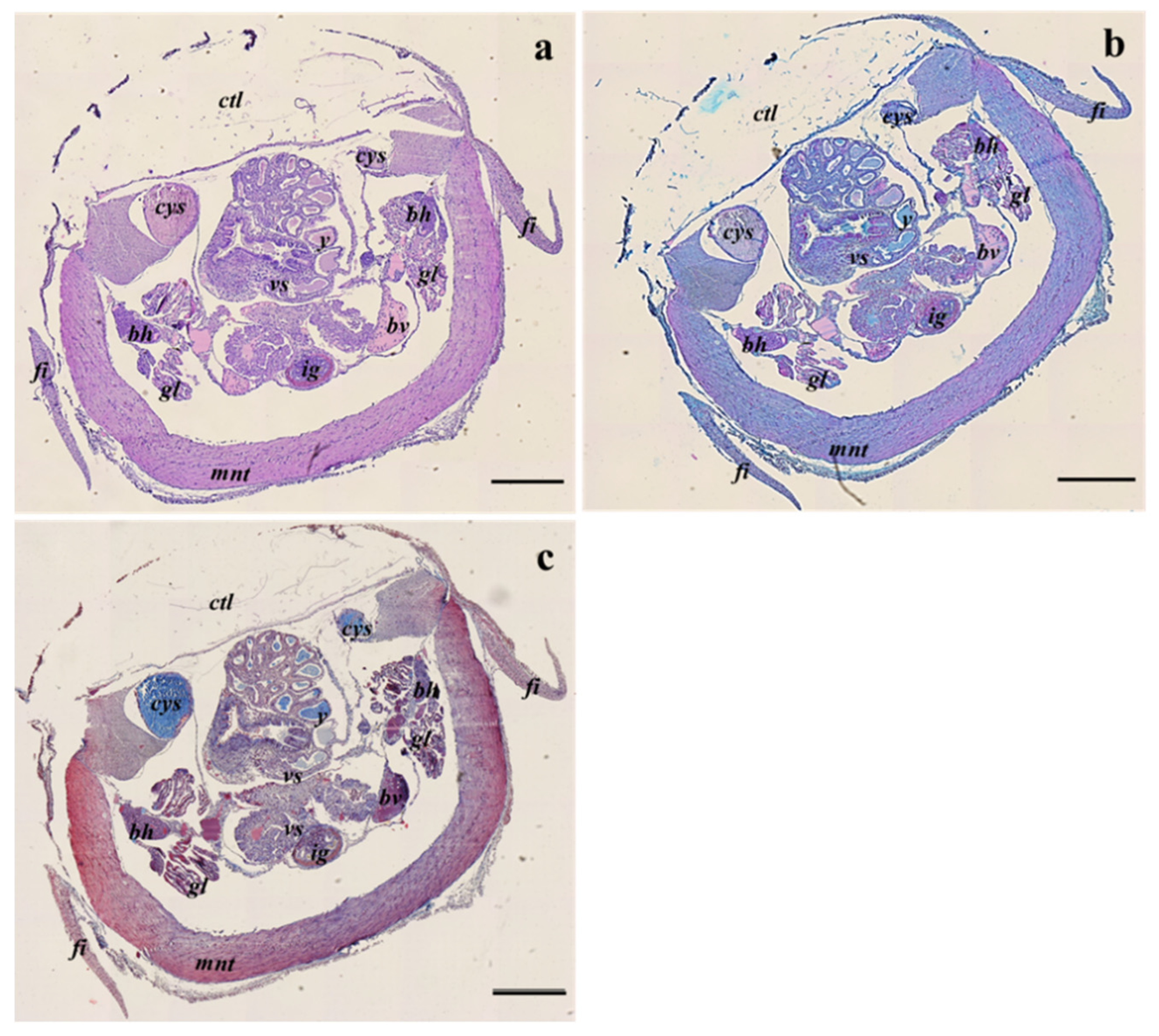 Animals 13 00095 g005