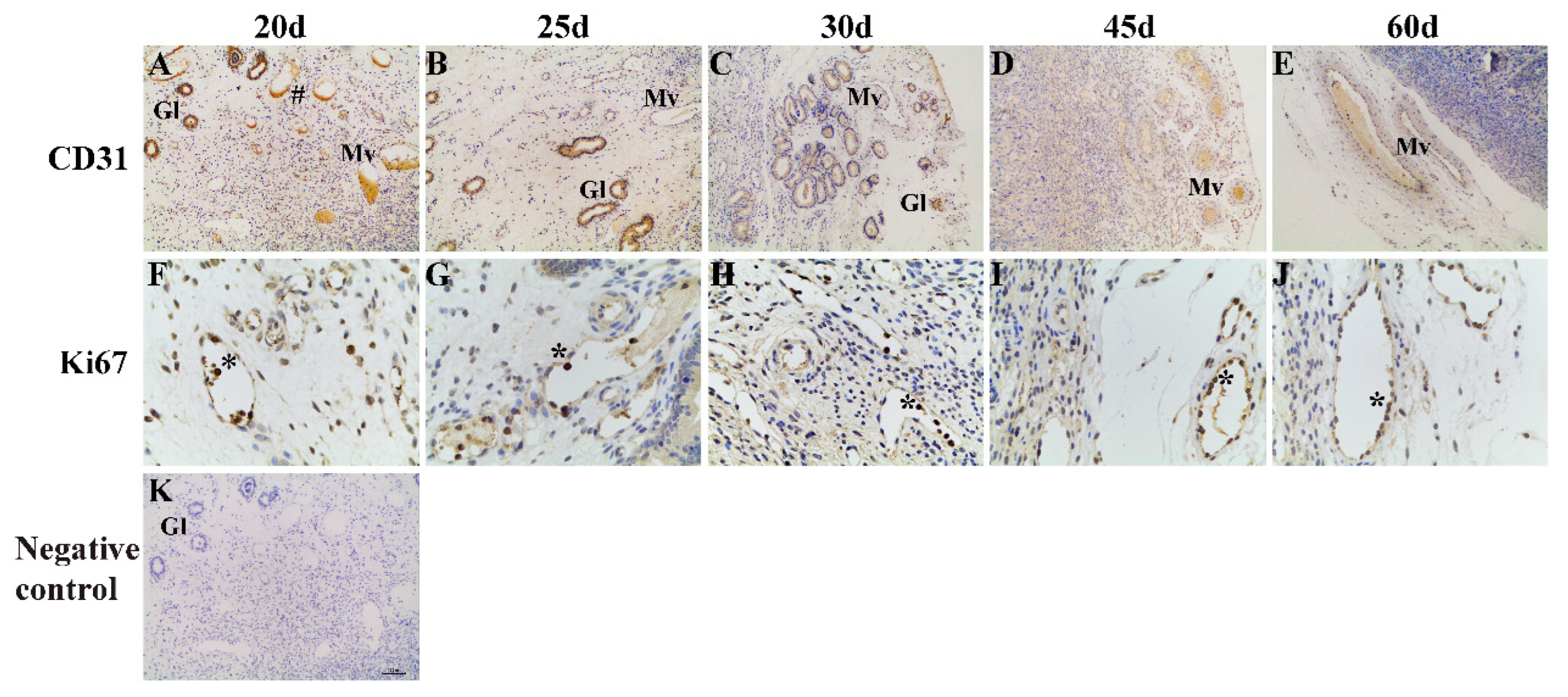 Animals 13 00099 g001