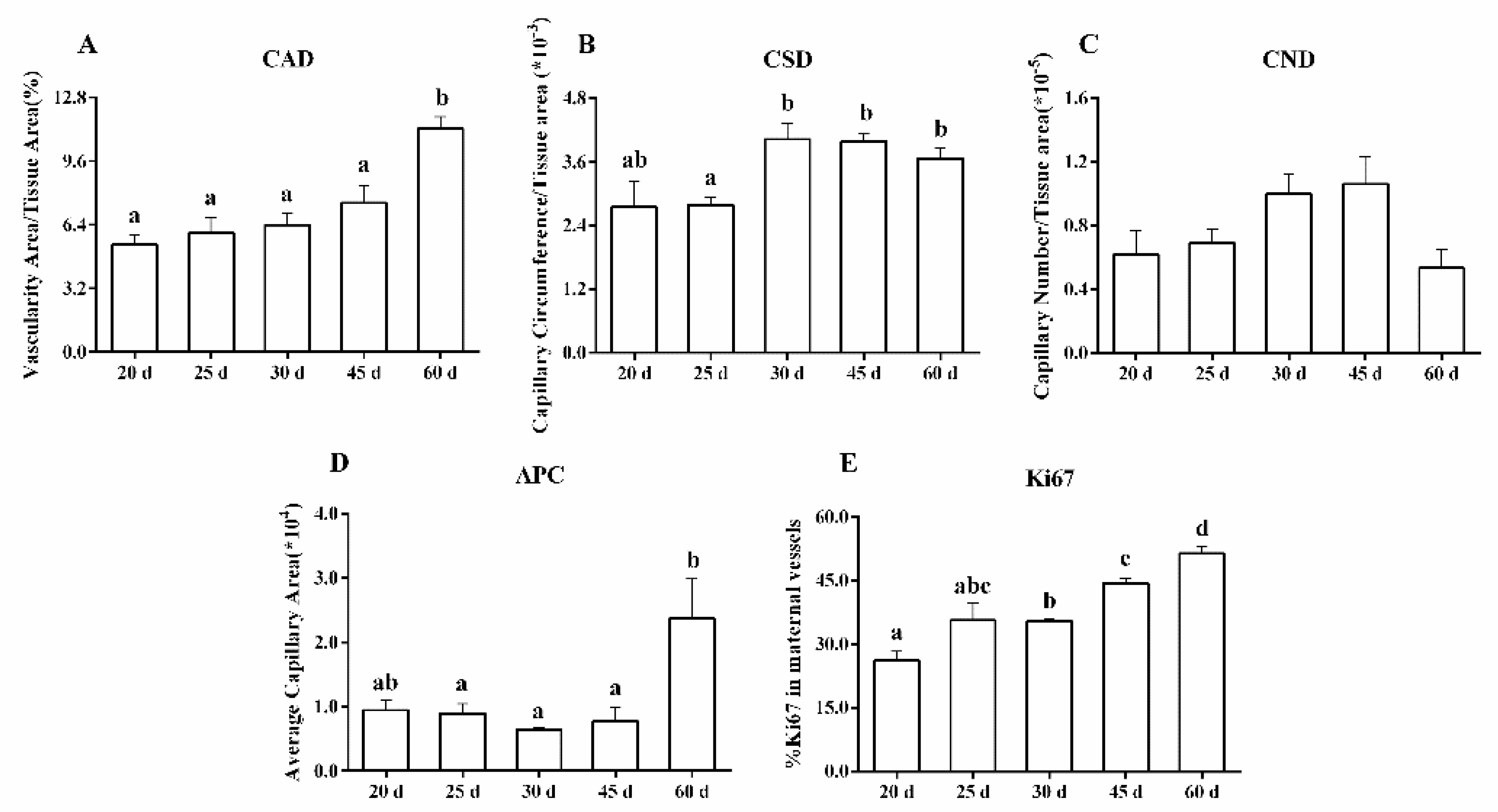 Animals 13 00099 g002