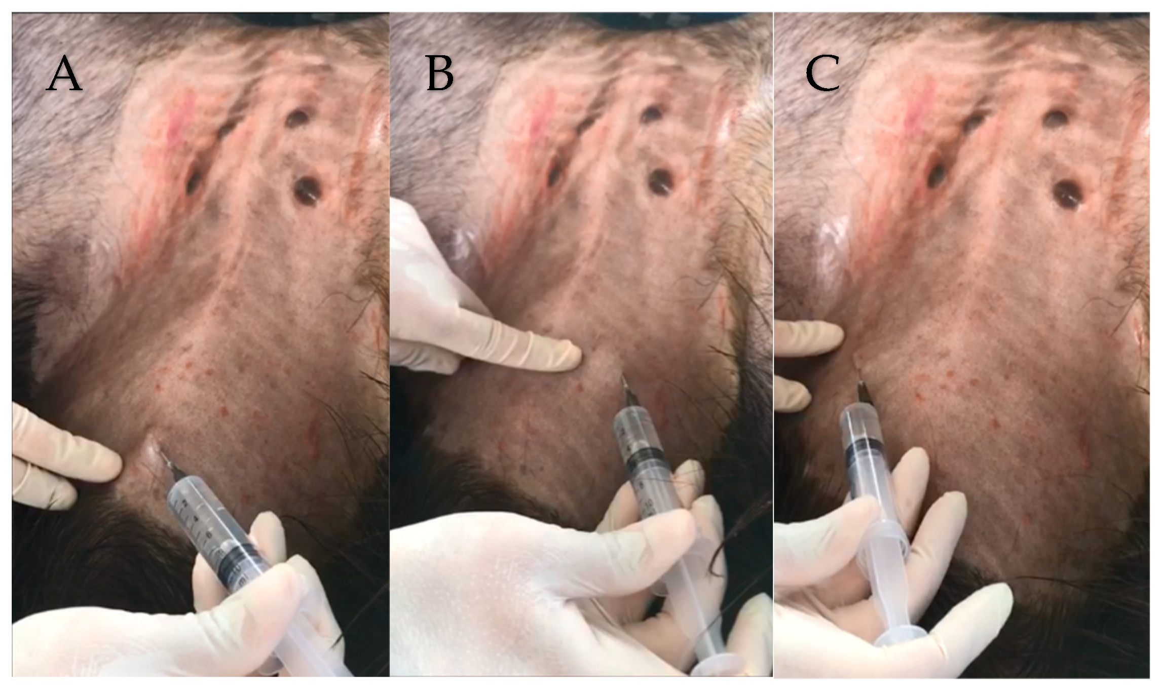 Animals 13 00102 g002