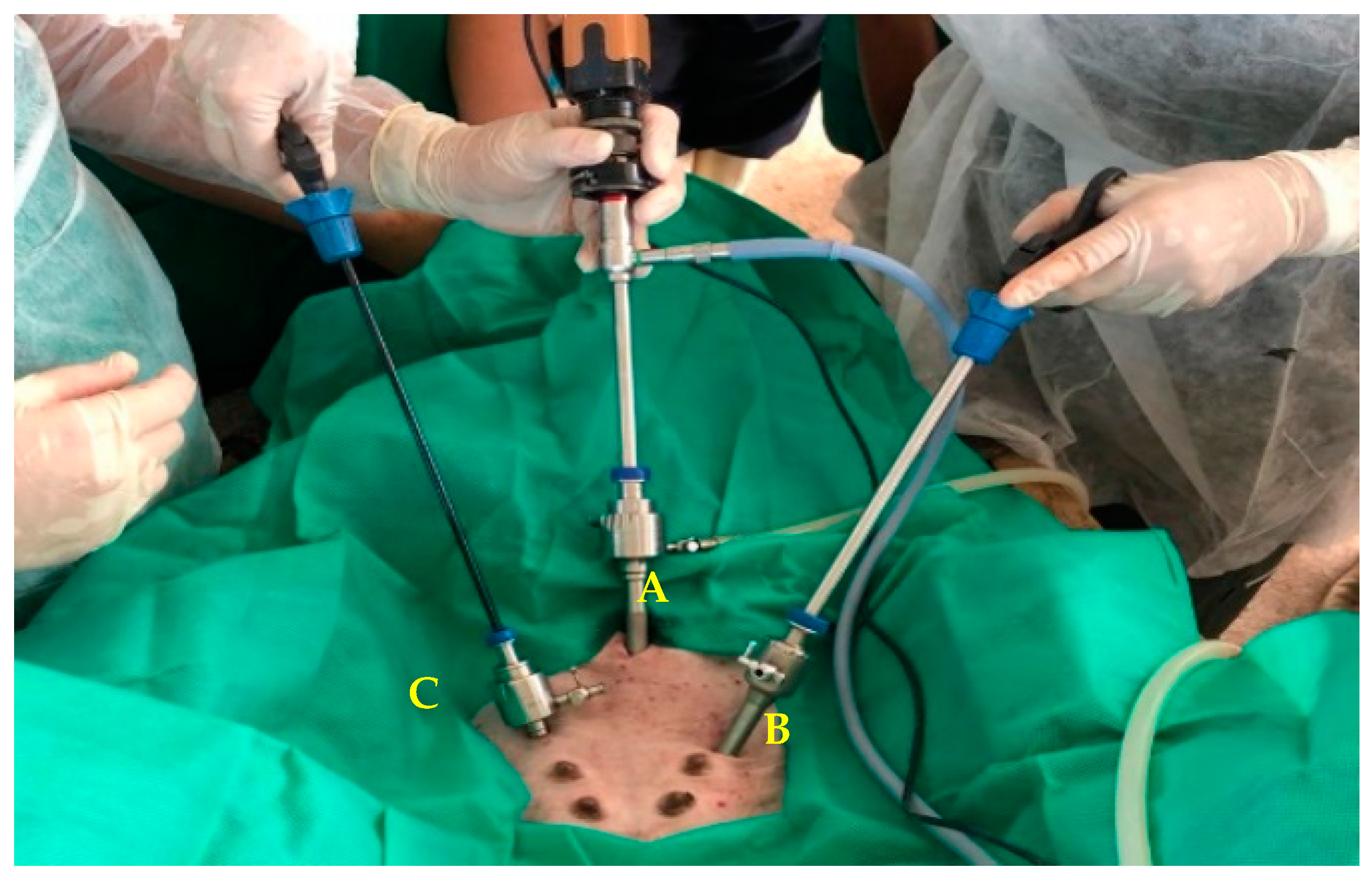 Animals 13 00102 g003