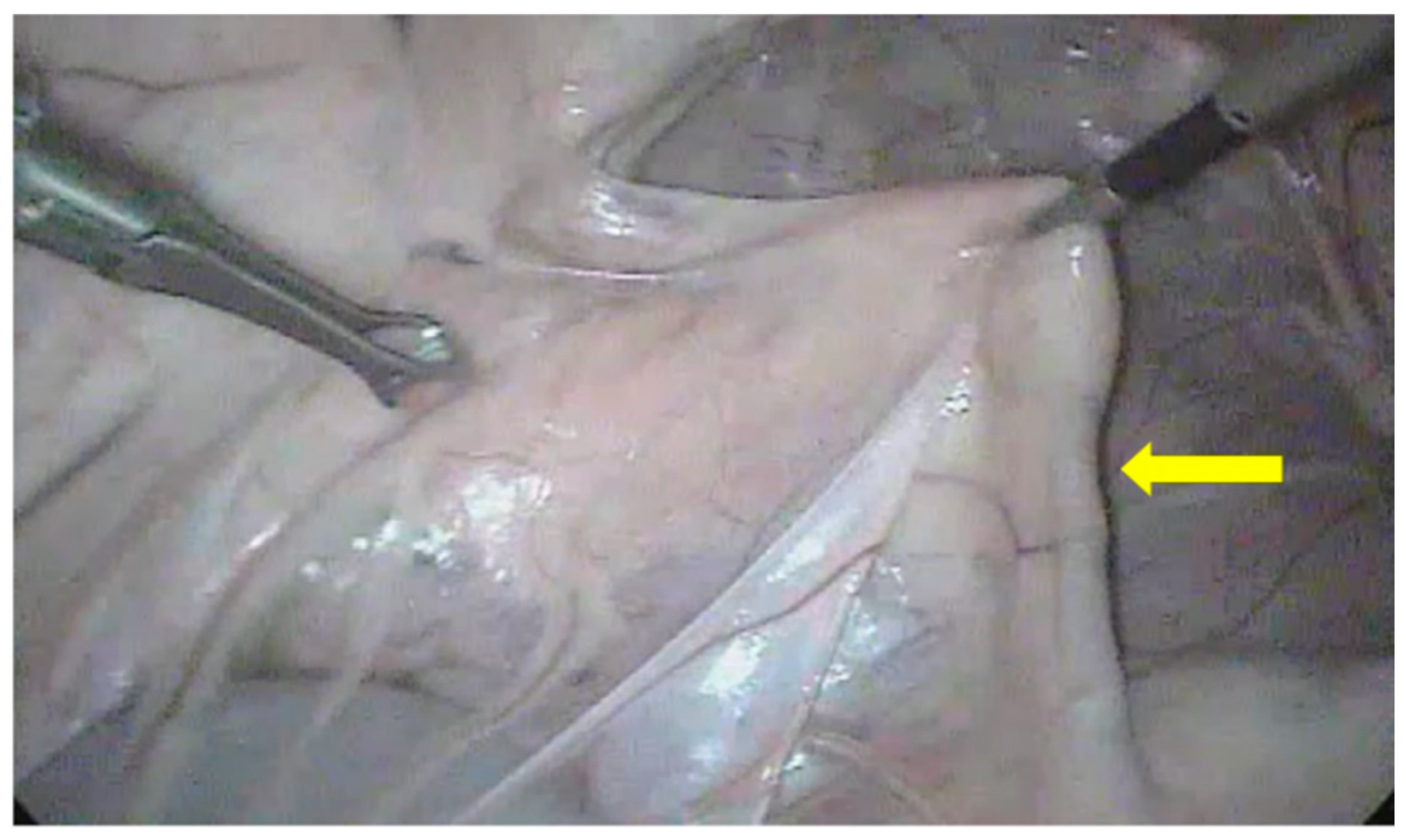 Animals 13 00102 g010