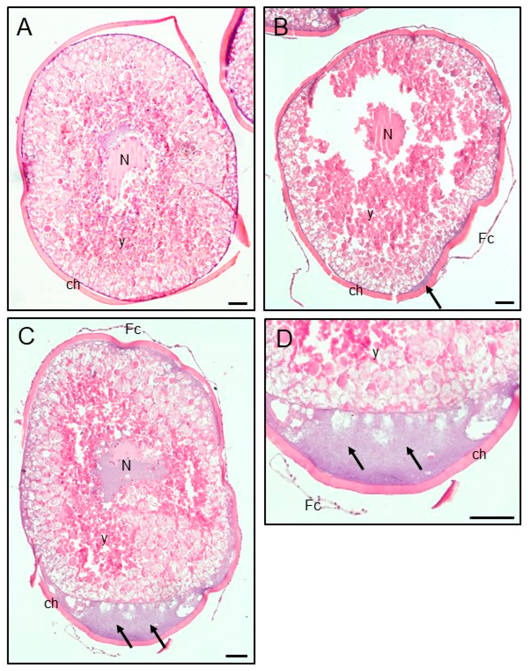 Animals 13 00105 g004