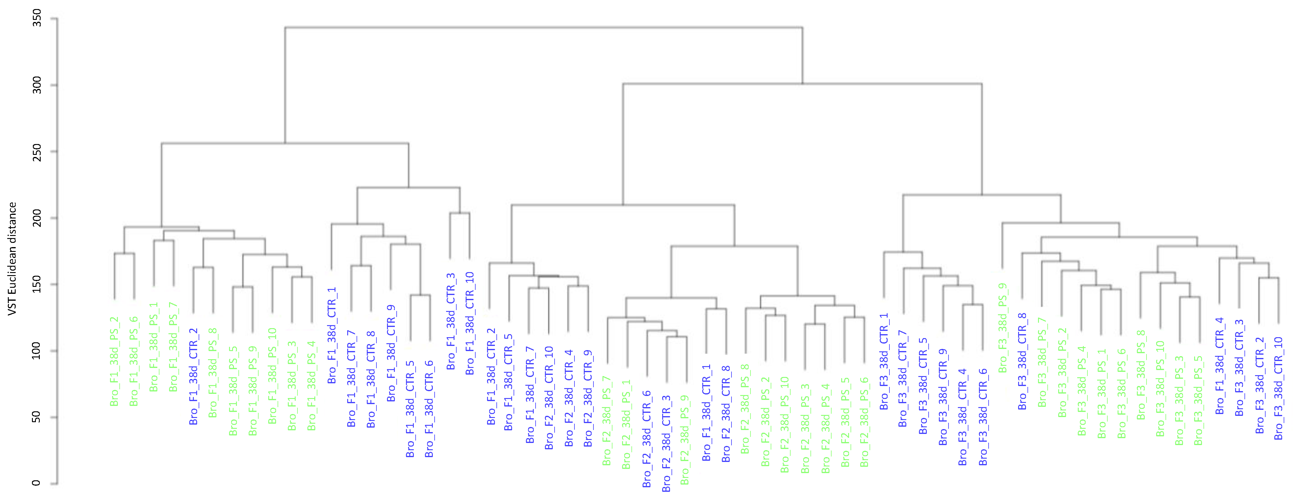 Animals 13 00113 g004