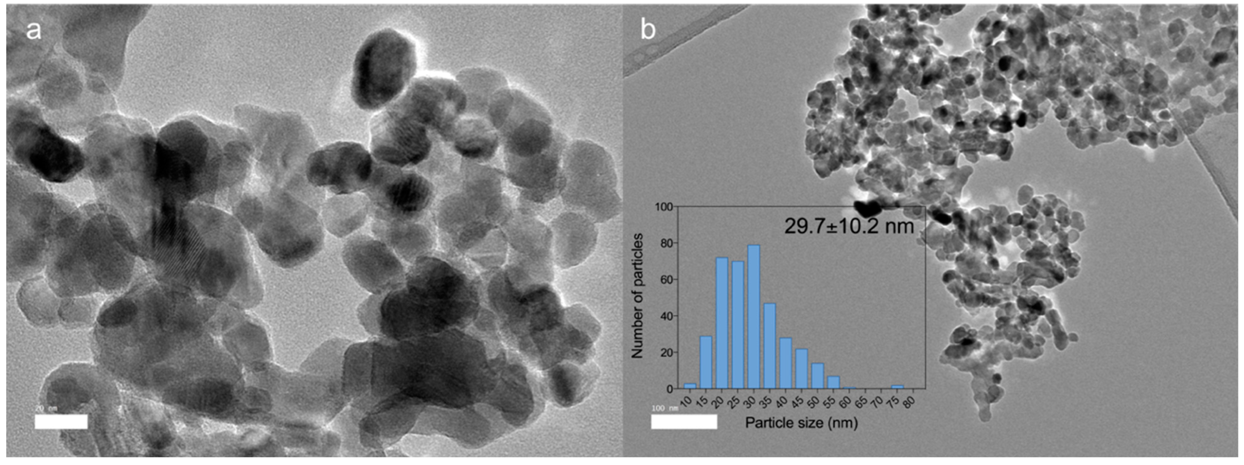 Animals 13 00115 g001