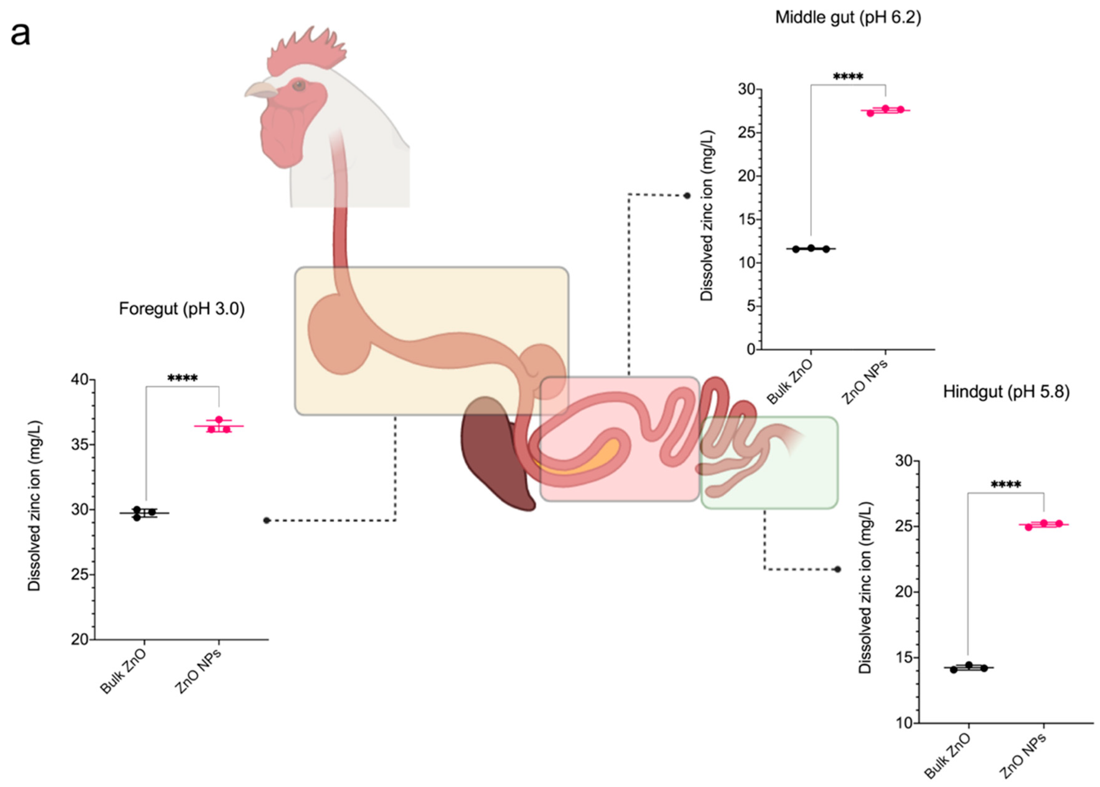 Animals 13 00115 g002a