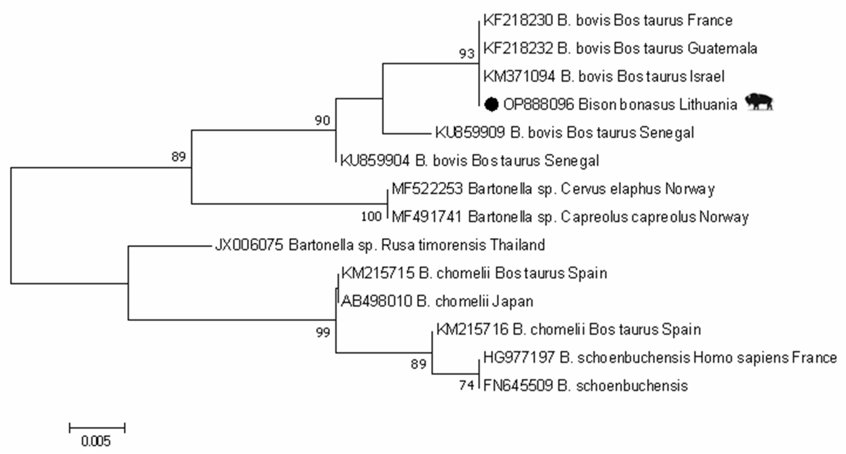 Animals 13 00121 g001