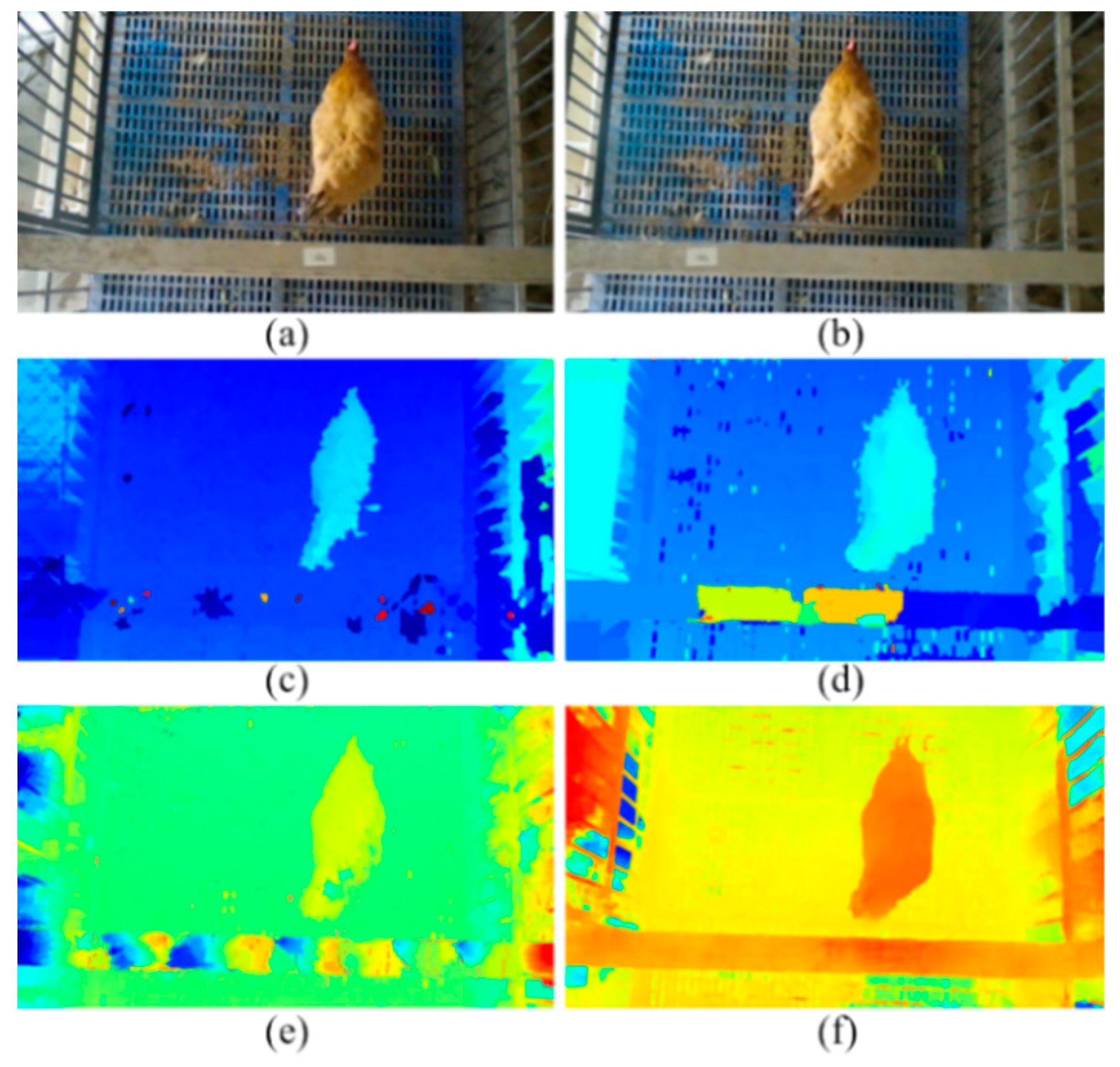 Animals 13 00126 g014