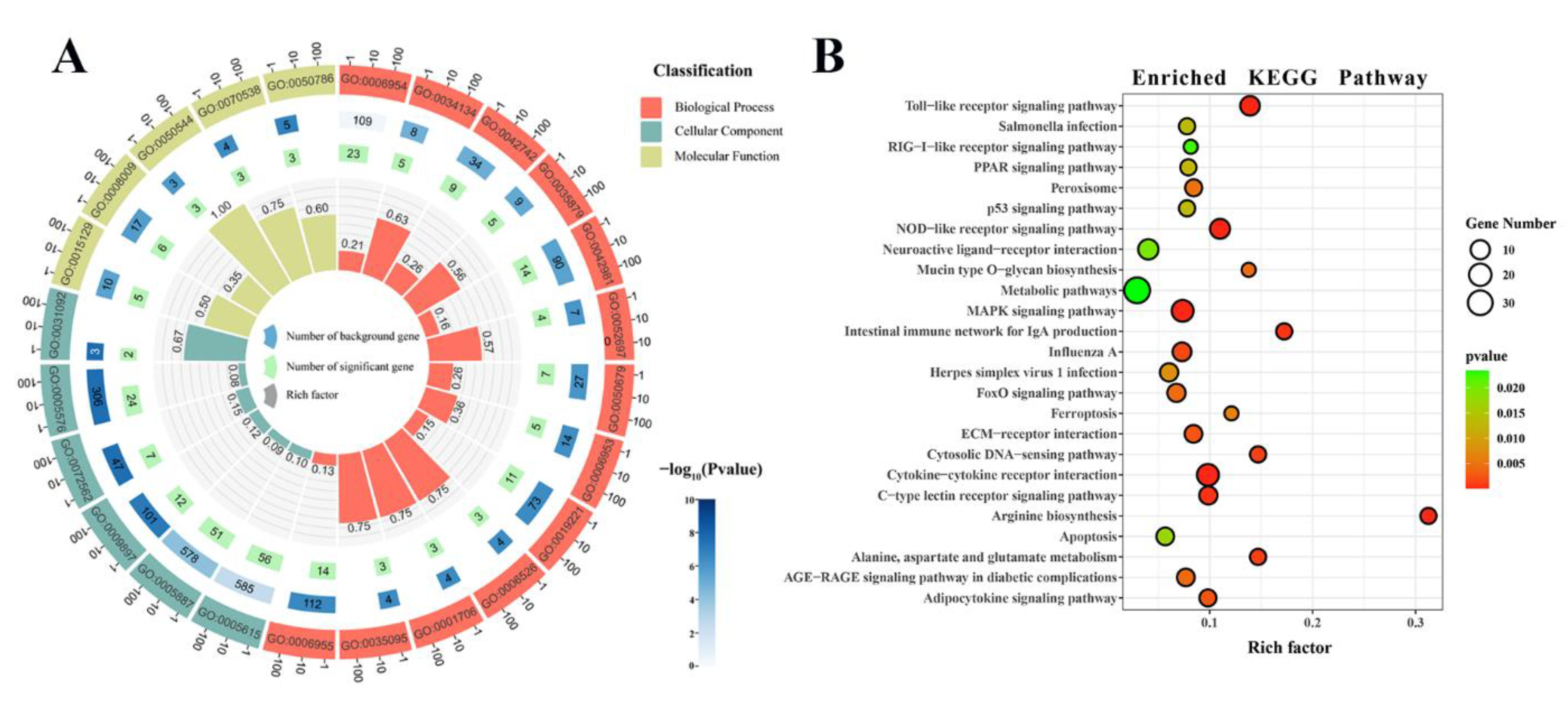 Animals 13 00127 g005