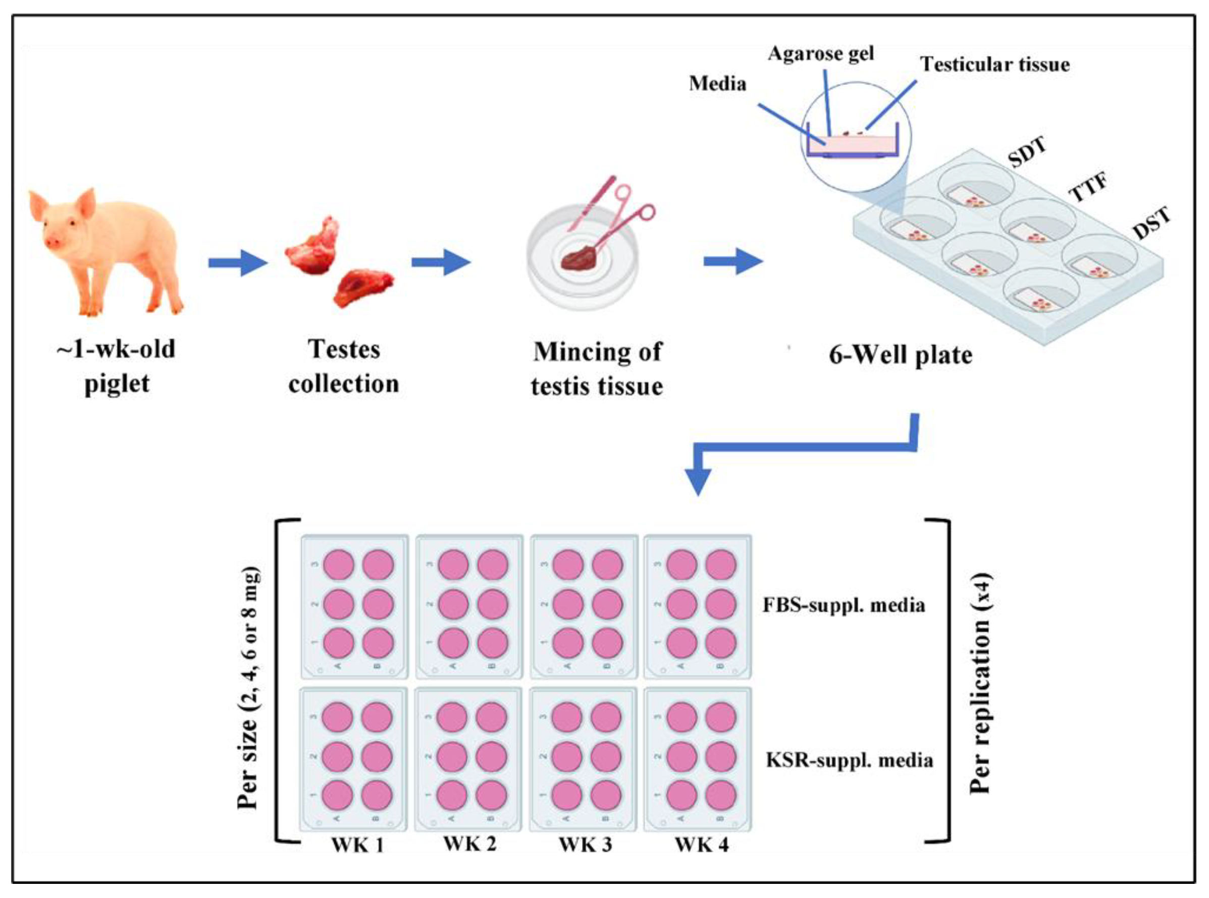 Animals 13 00128 g001