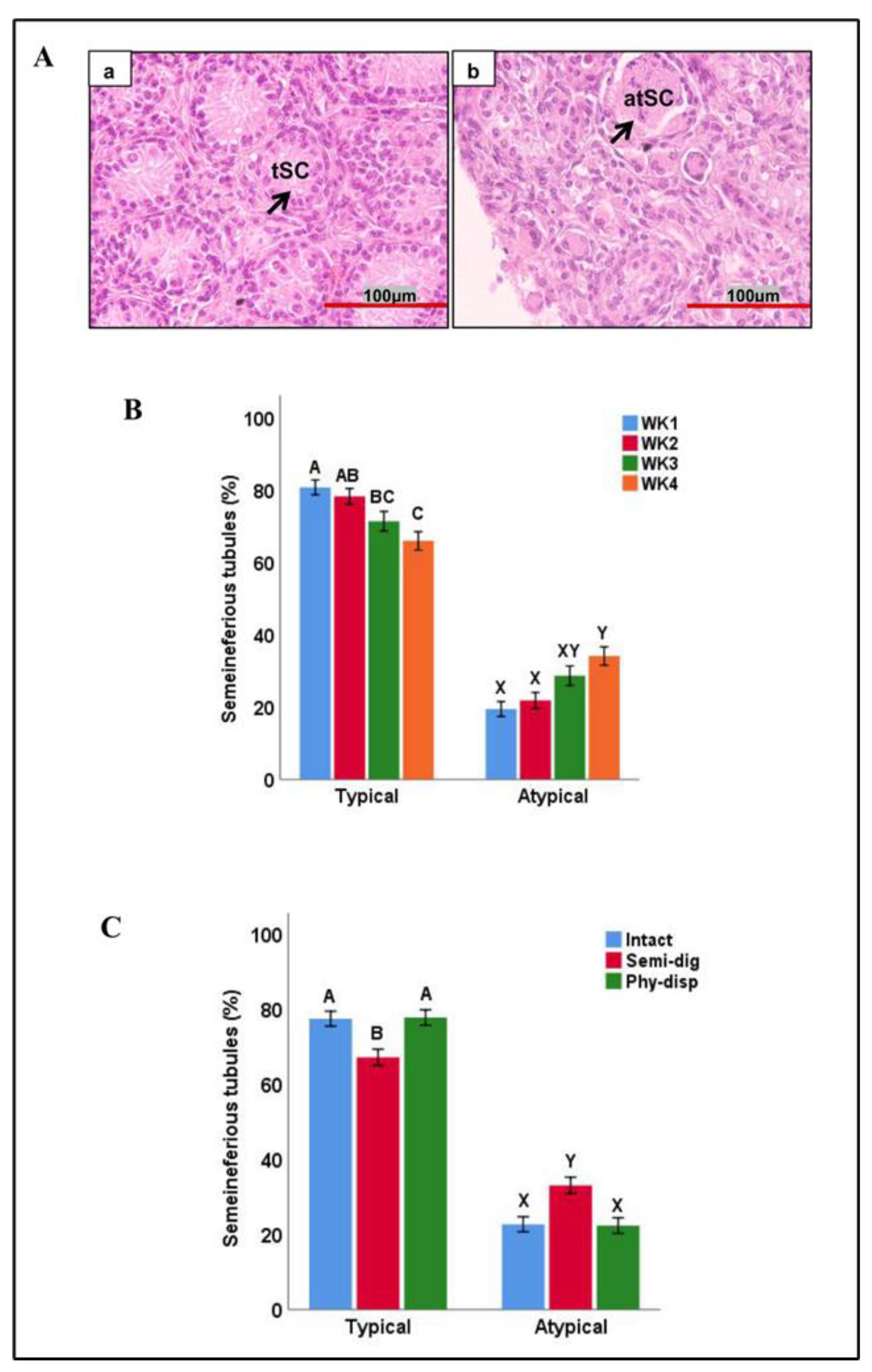 Animals 13 00128 g005