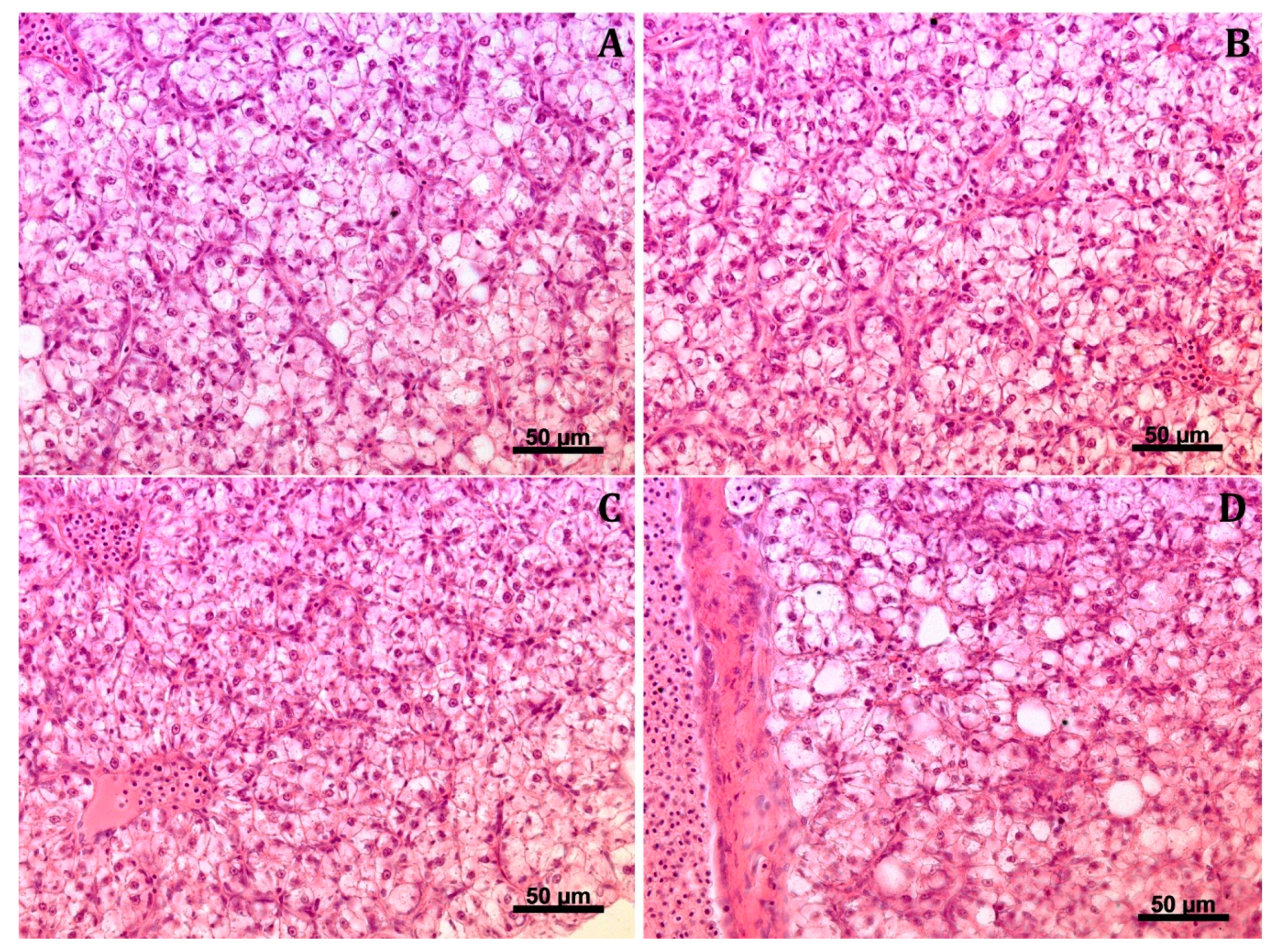 Animals 13 00132 g003 Animals 13 00132 g003