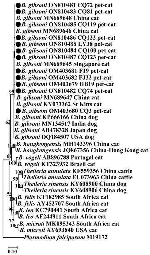 Animals 13 00138 i001