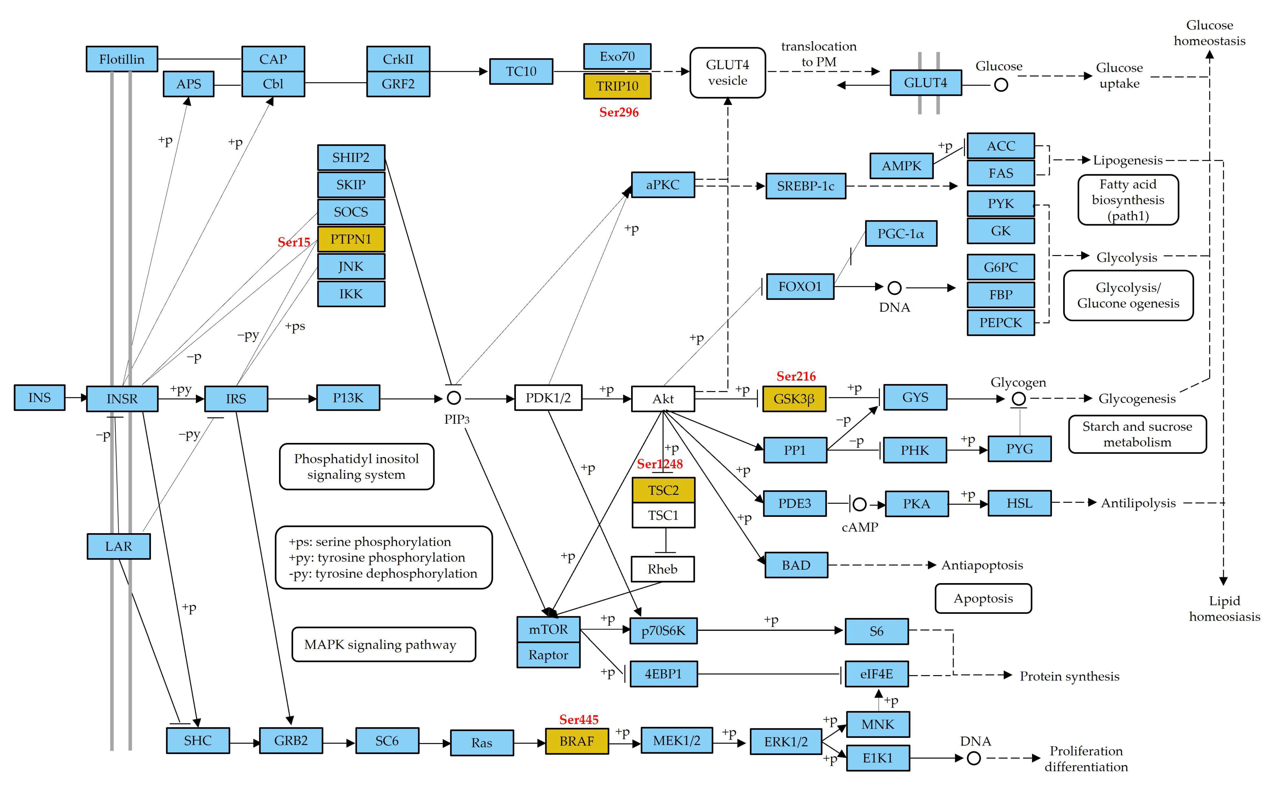 Animals 13 00145 g005