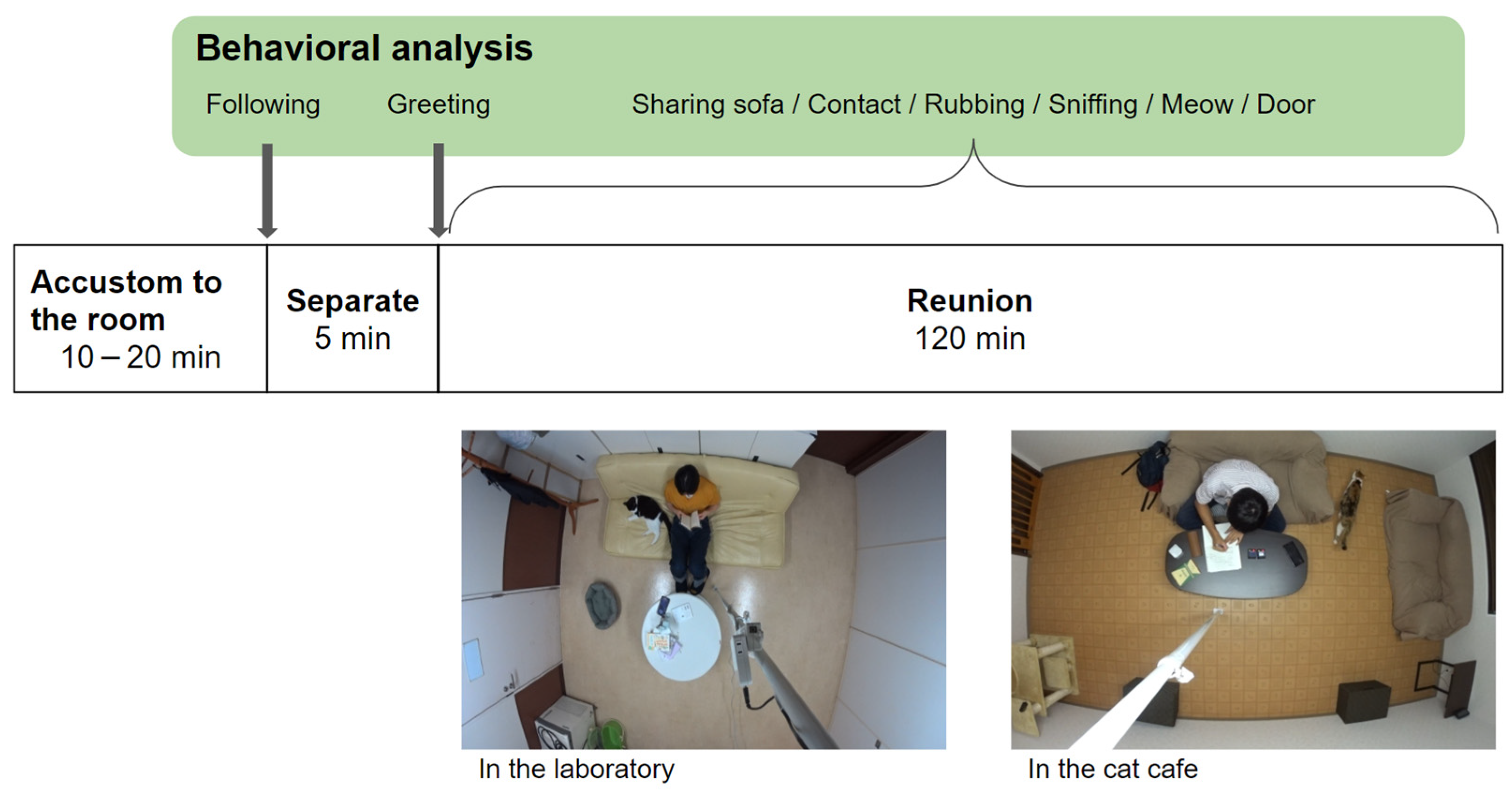 Animals 13 00146 g001 Animals 13 00146 g001