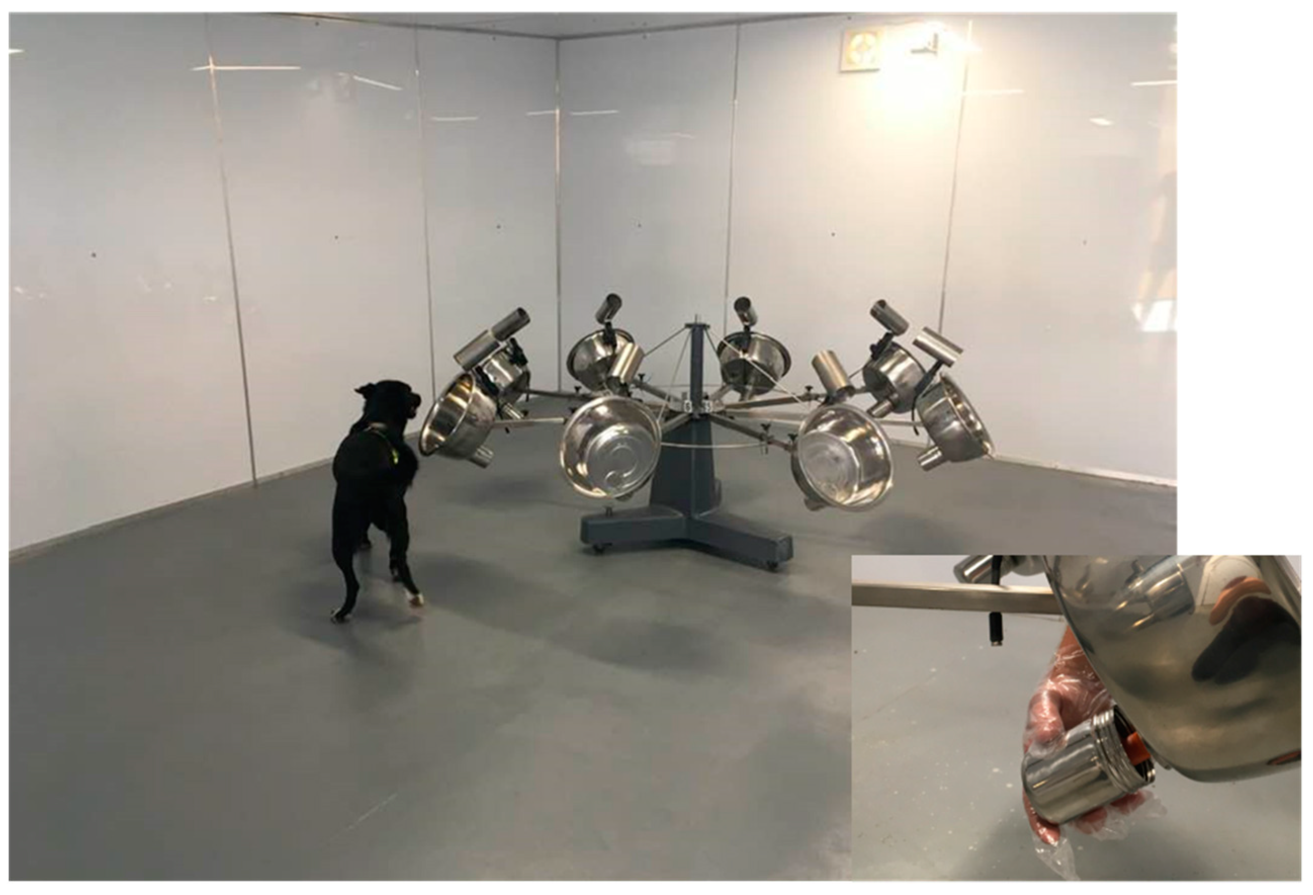 Animals 13 00154 g001