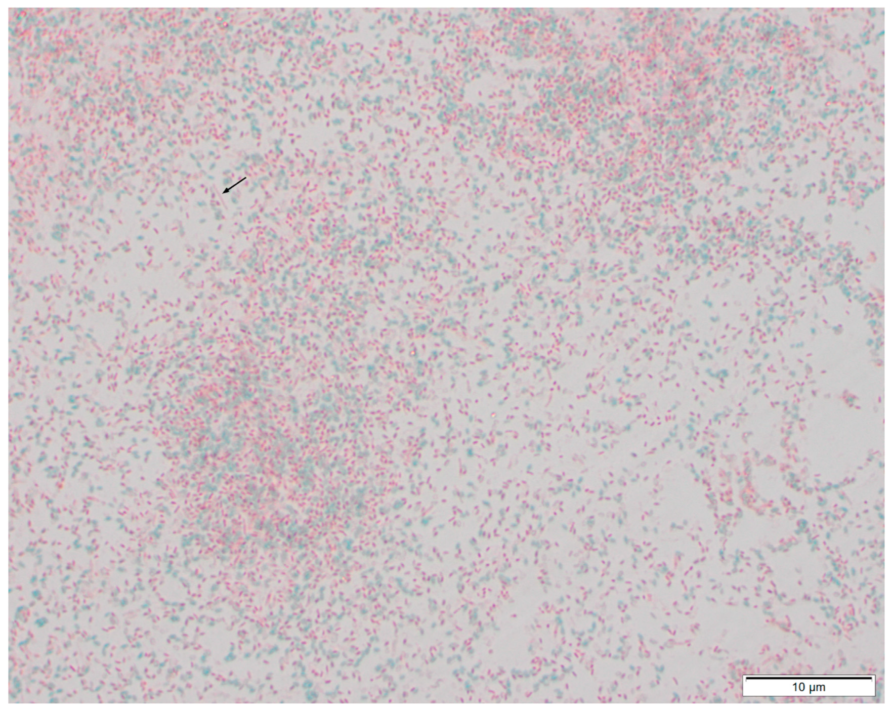 Animals 13 00154 g002