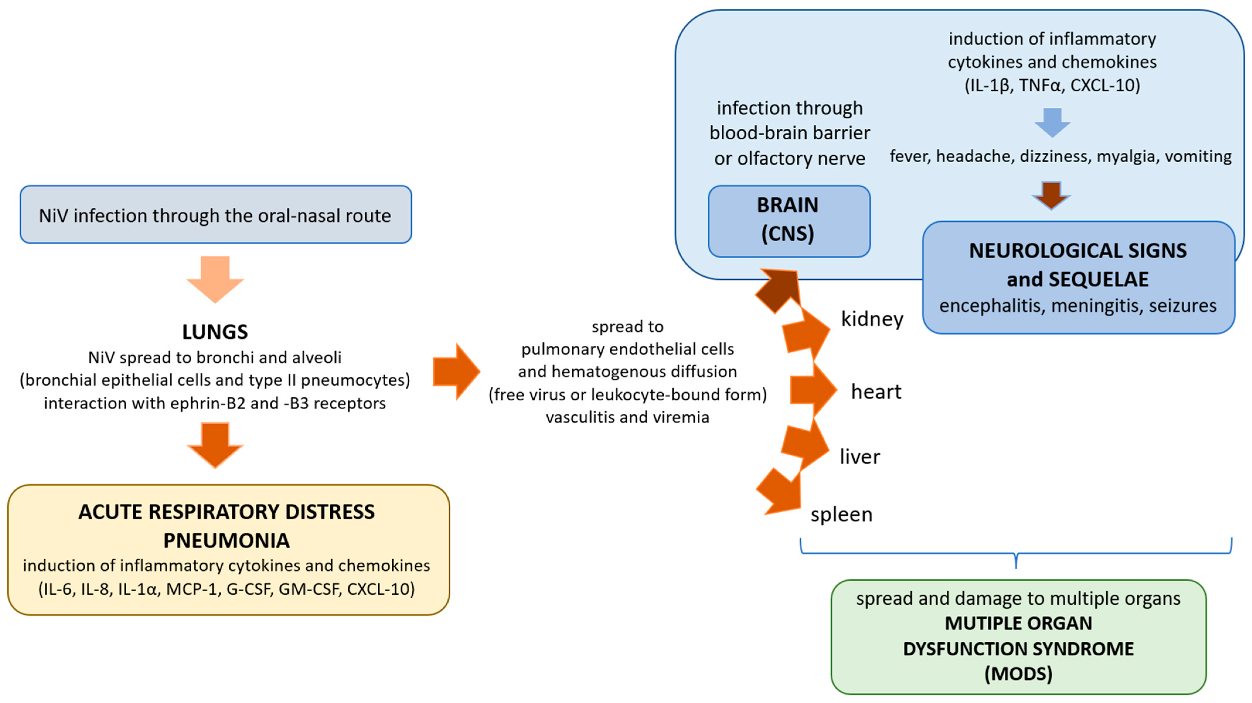 Animals 13 00159 g004