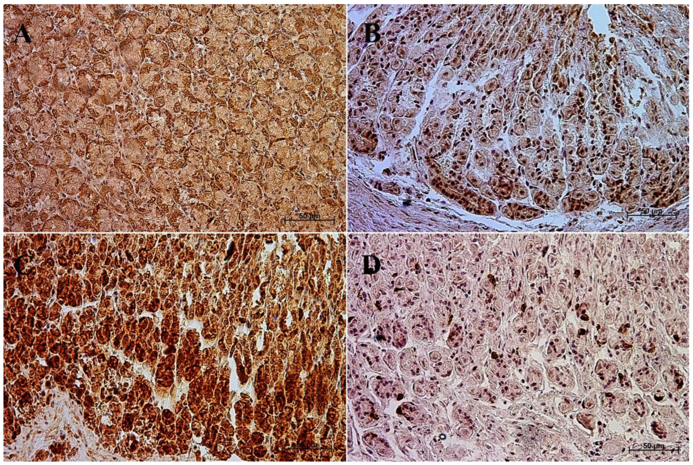 Animals 13 00161 g001