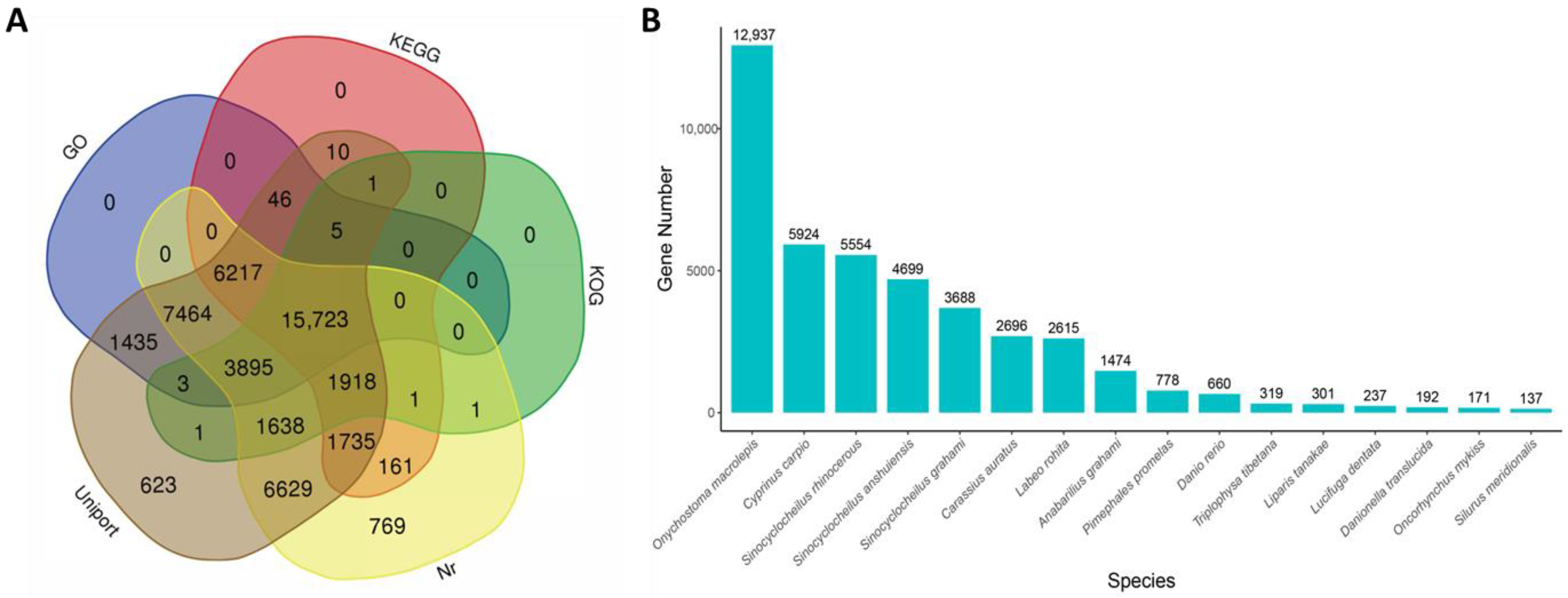 Animals 13 00166 g002
