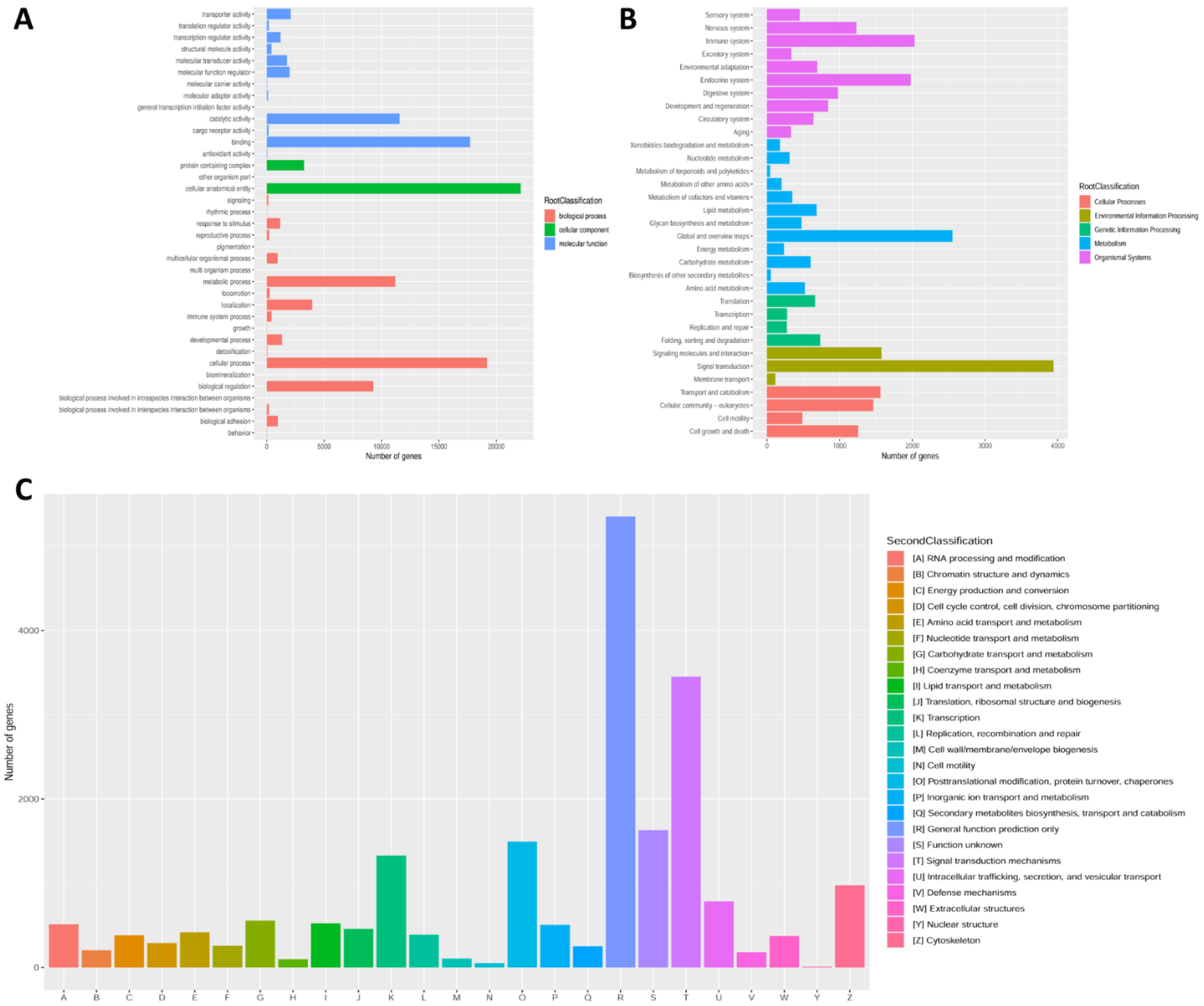 Animals 13 00166 g003
