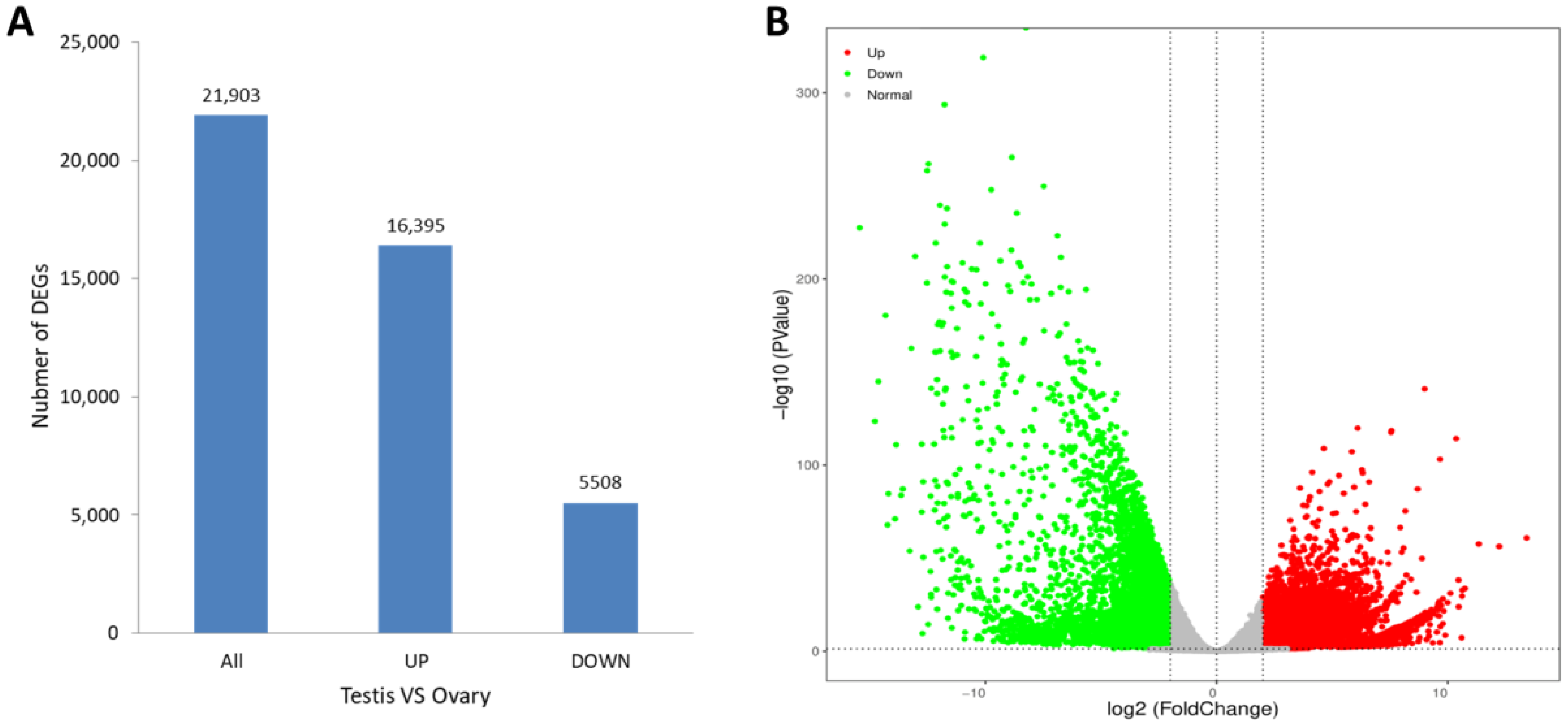 Animals 13 00166 g004