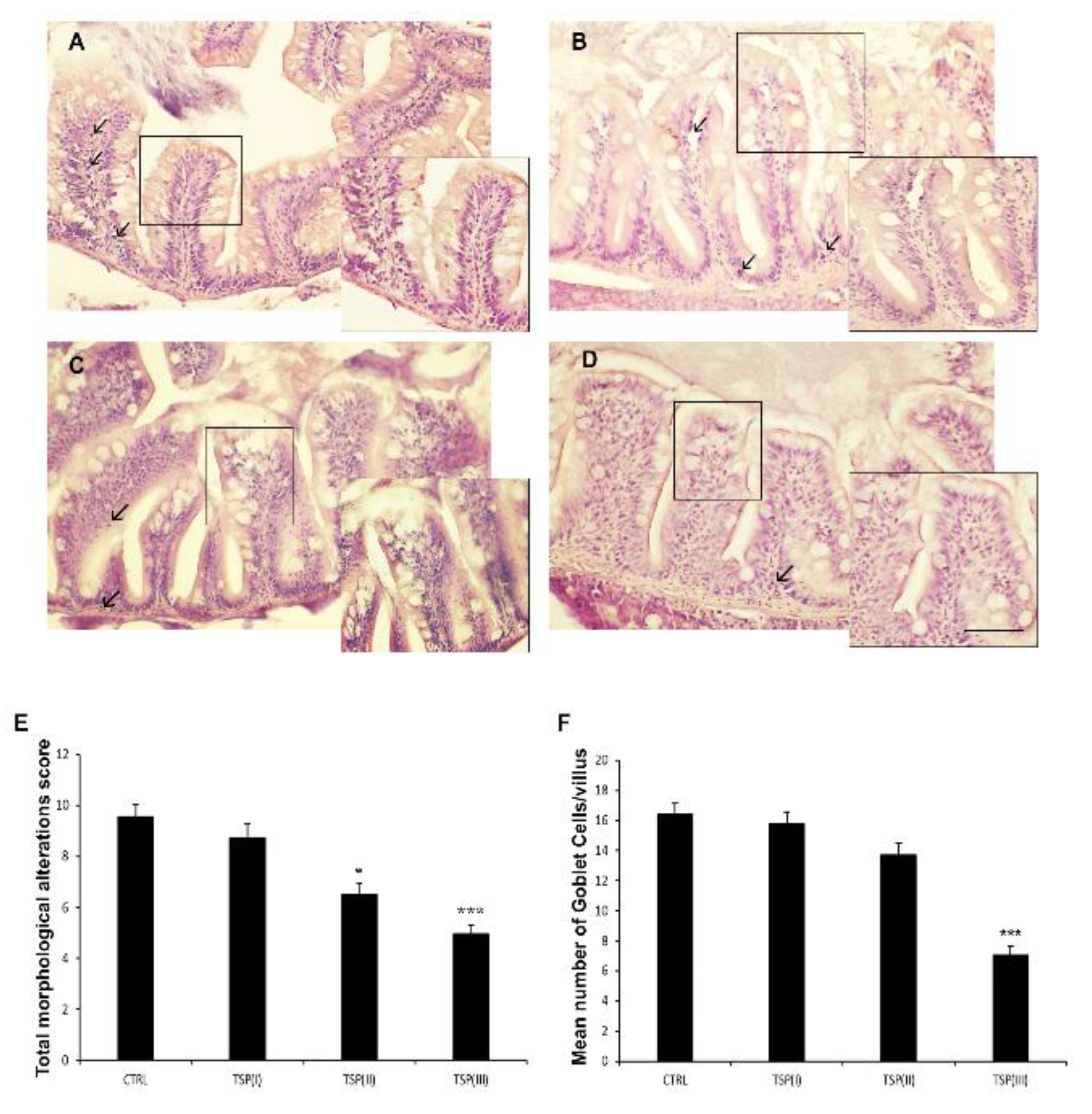 Animals 13 00167 g001