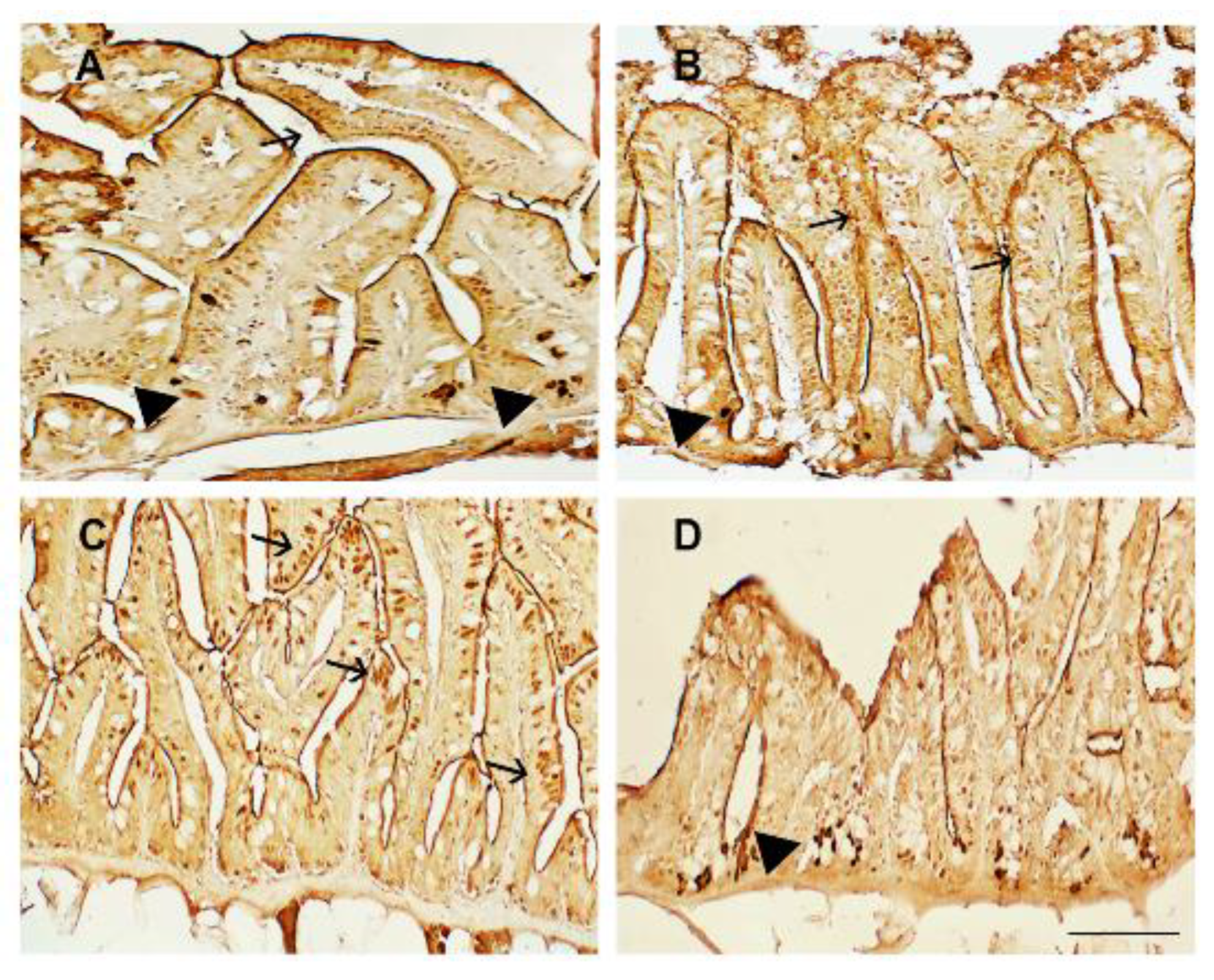 Animals 13 00167 g002