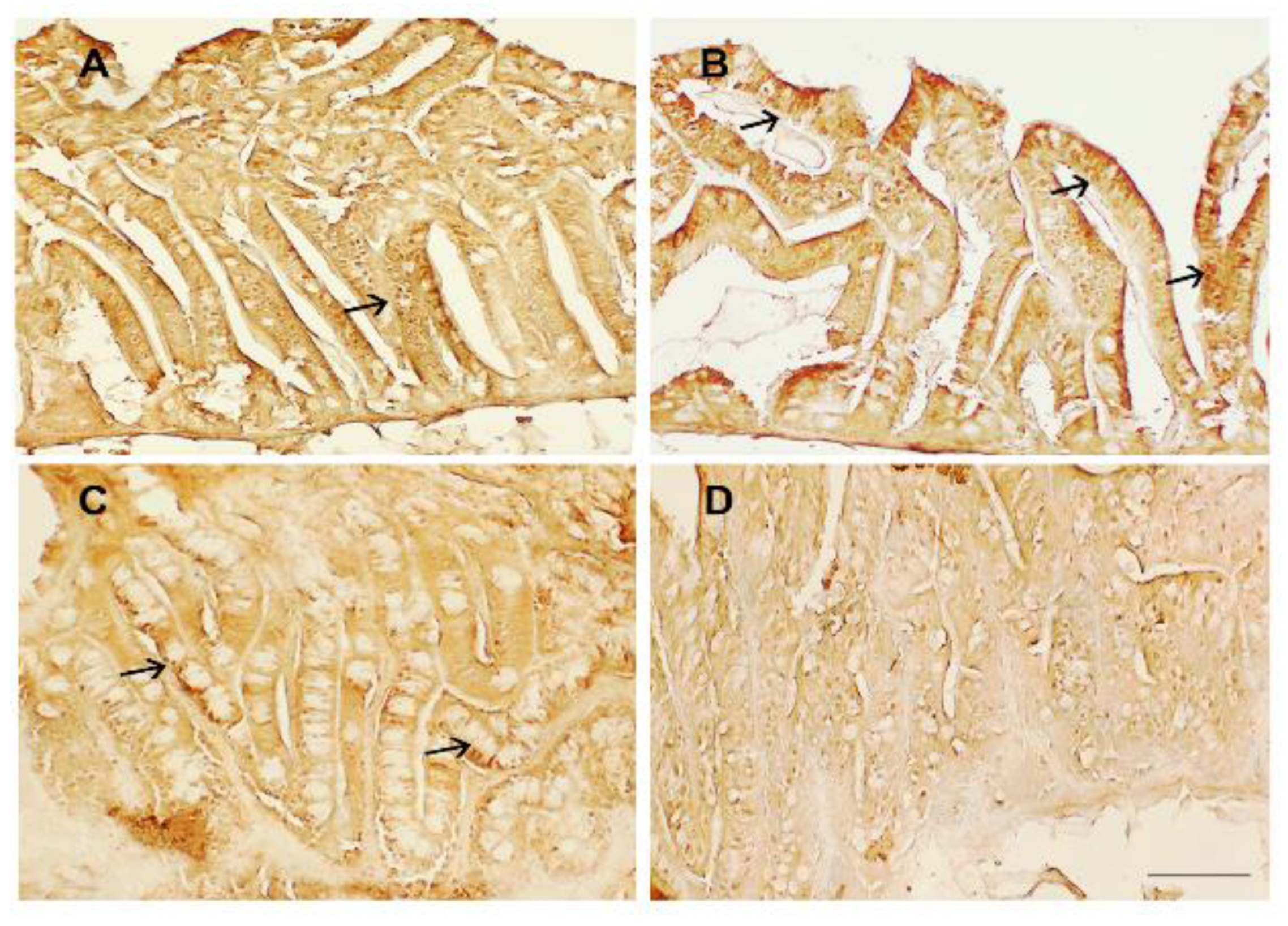 Animals 13 00167 g003