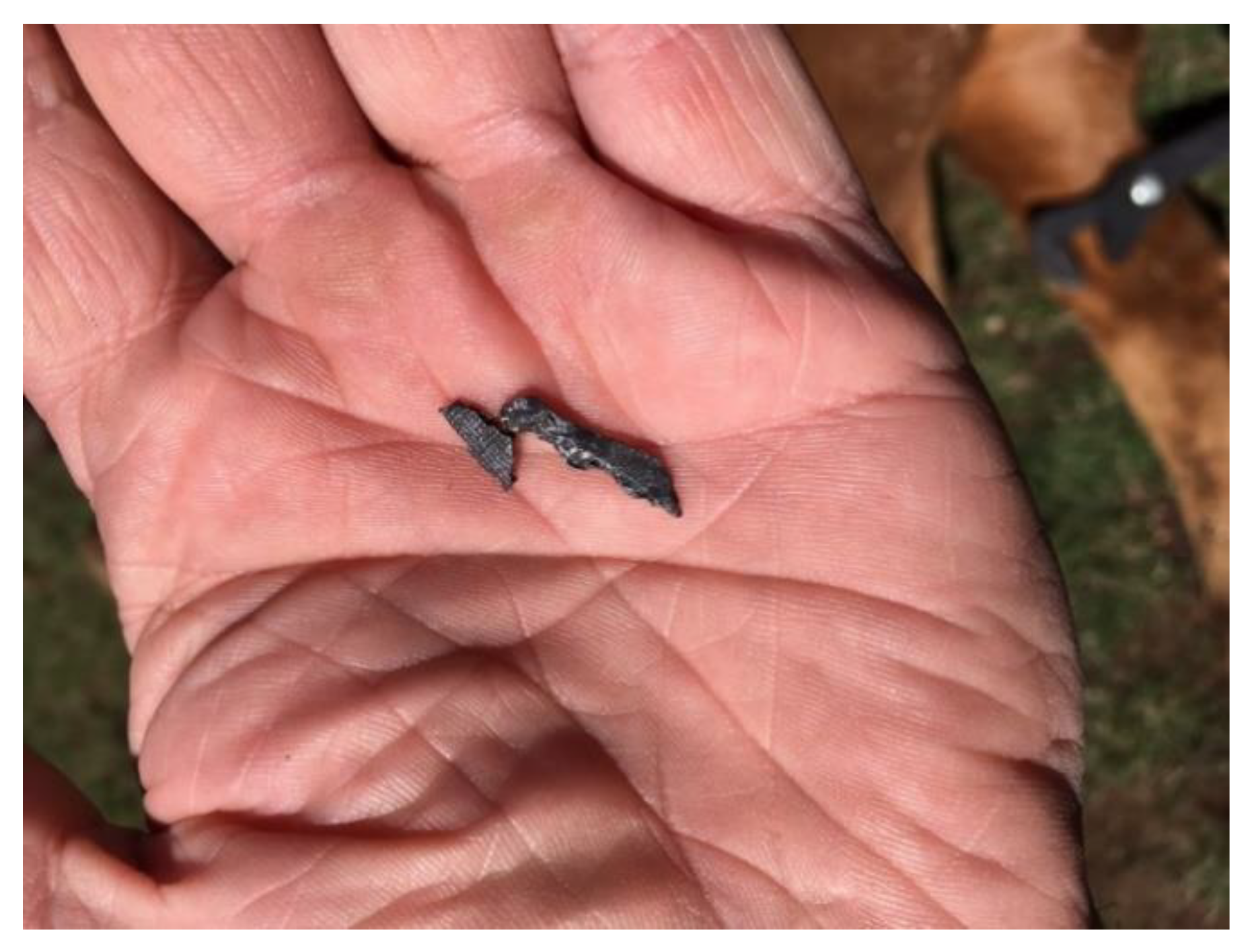 Animals 13 00174 g002