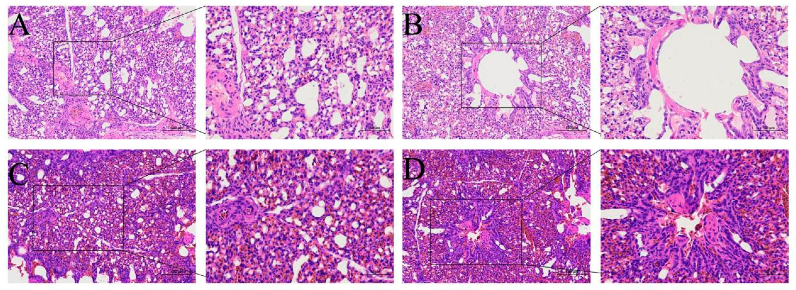 Animals 13 00175 g002