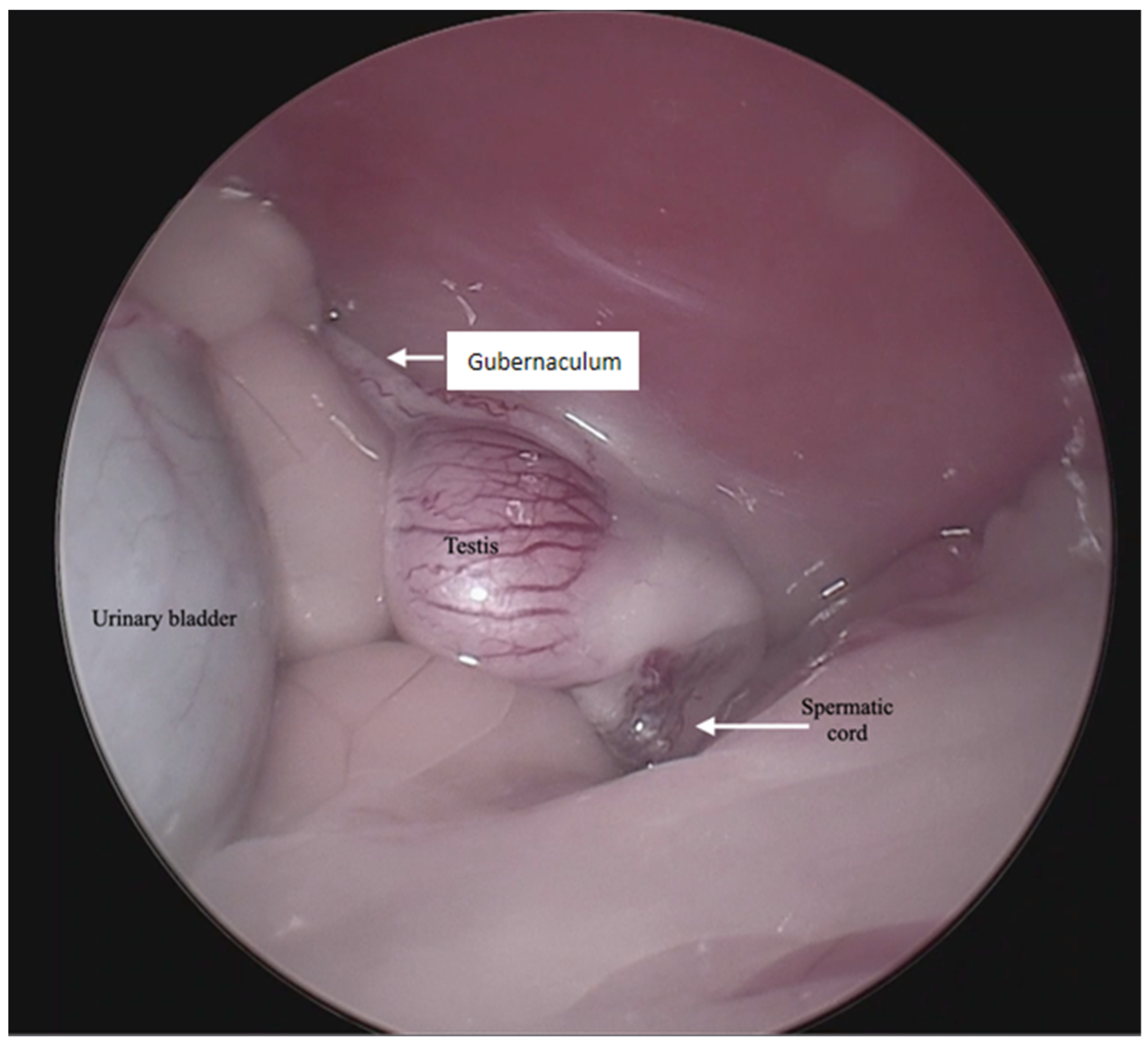 Animals 13 00181 g001