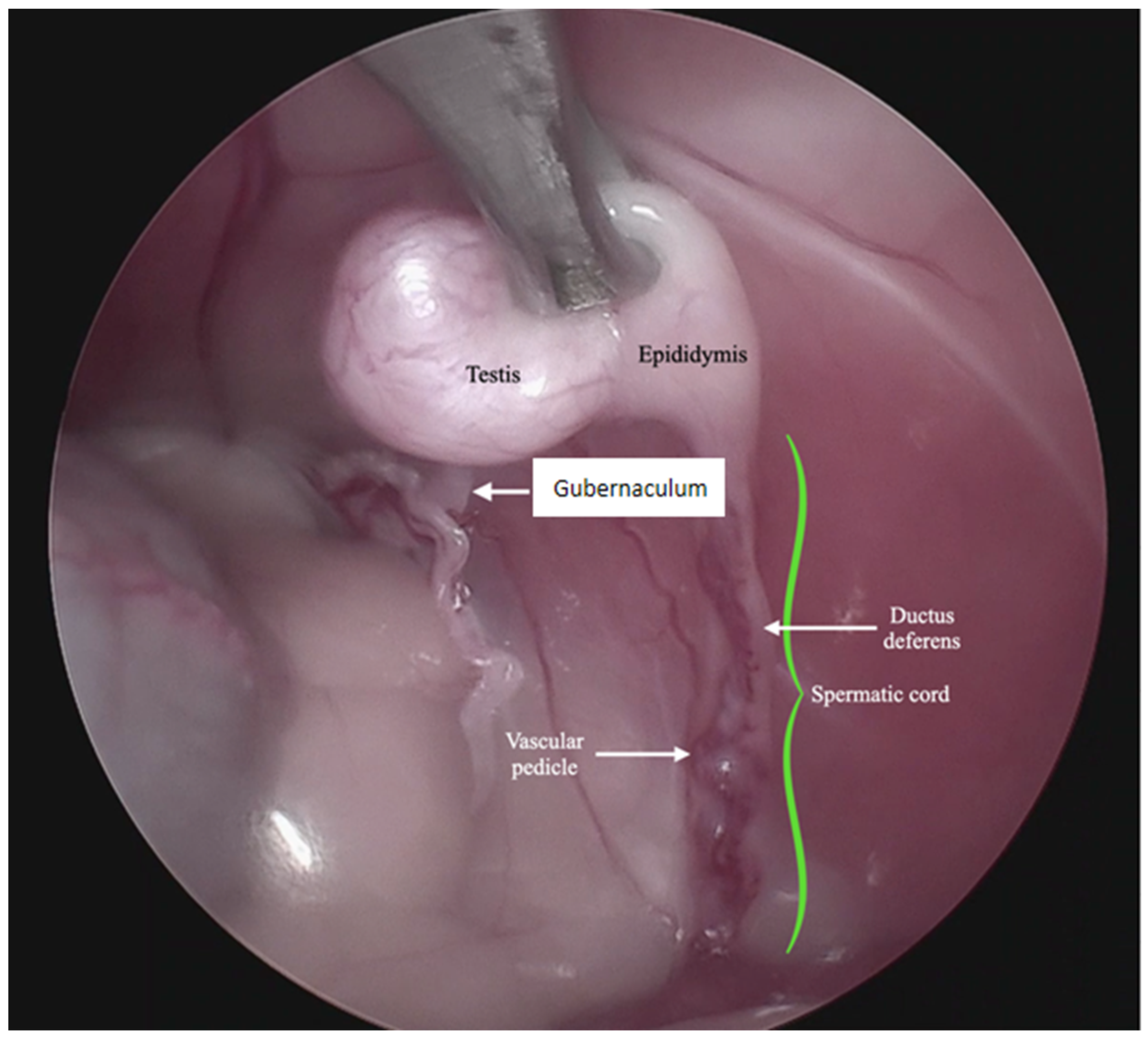 Animals 13 00181 g002