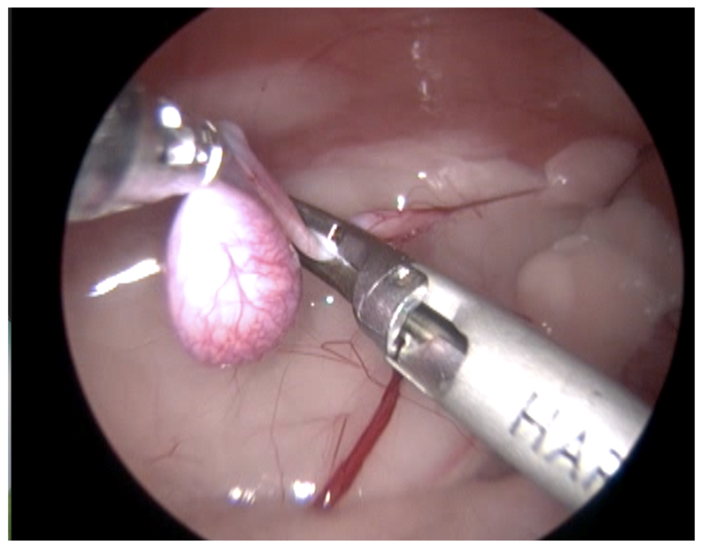 Animals 13 00181 g004