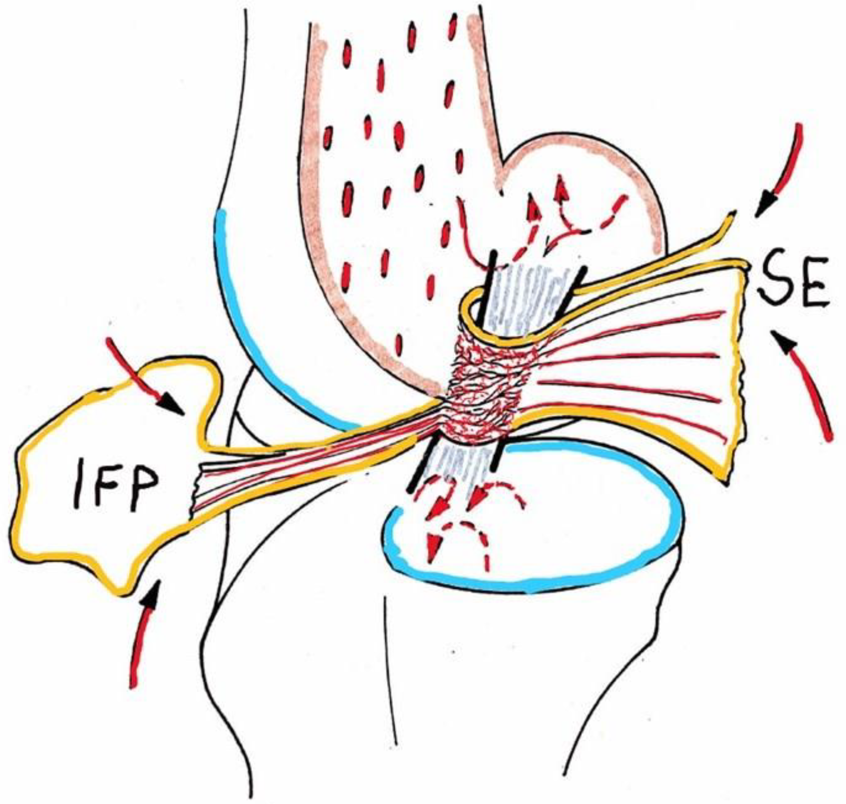 Animals 13 00187 g001