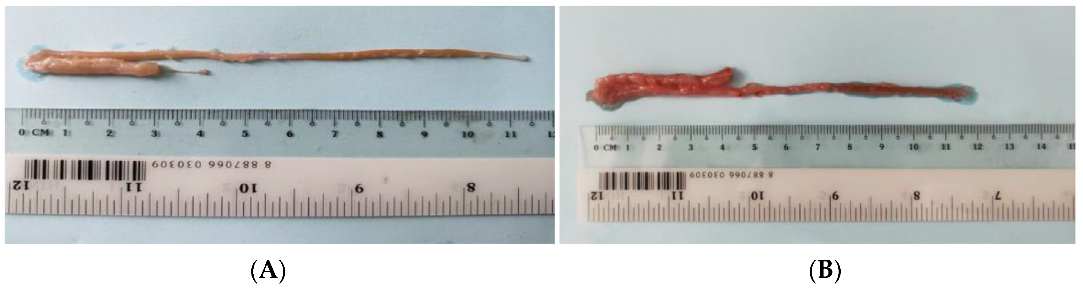 Animals 13 00189 g001