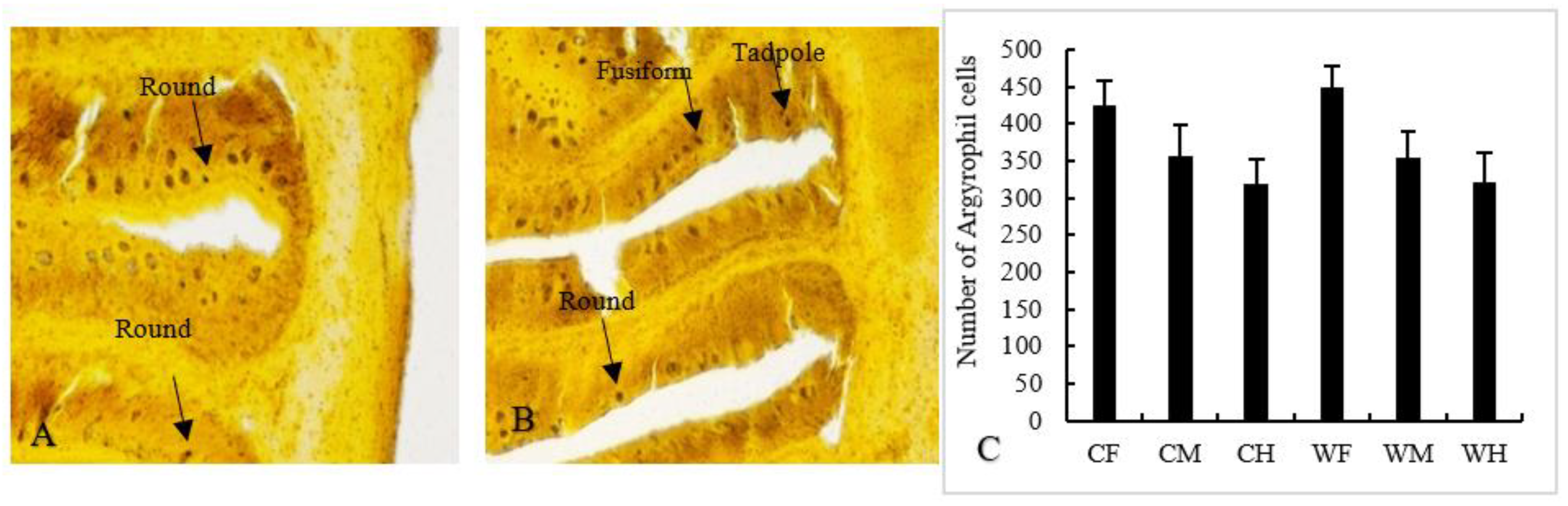 Animals 13 00189 g004